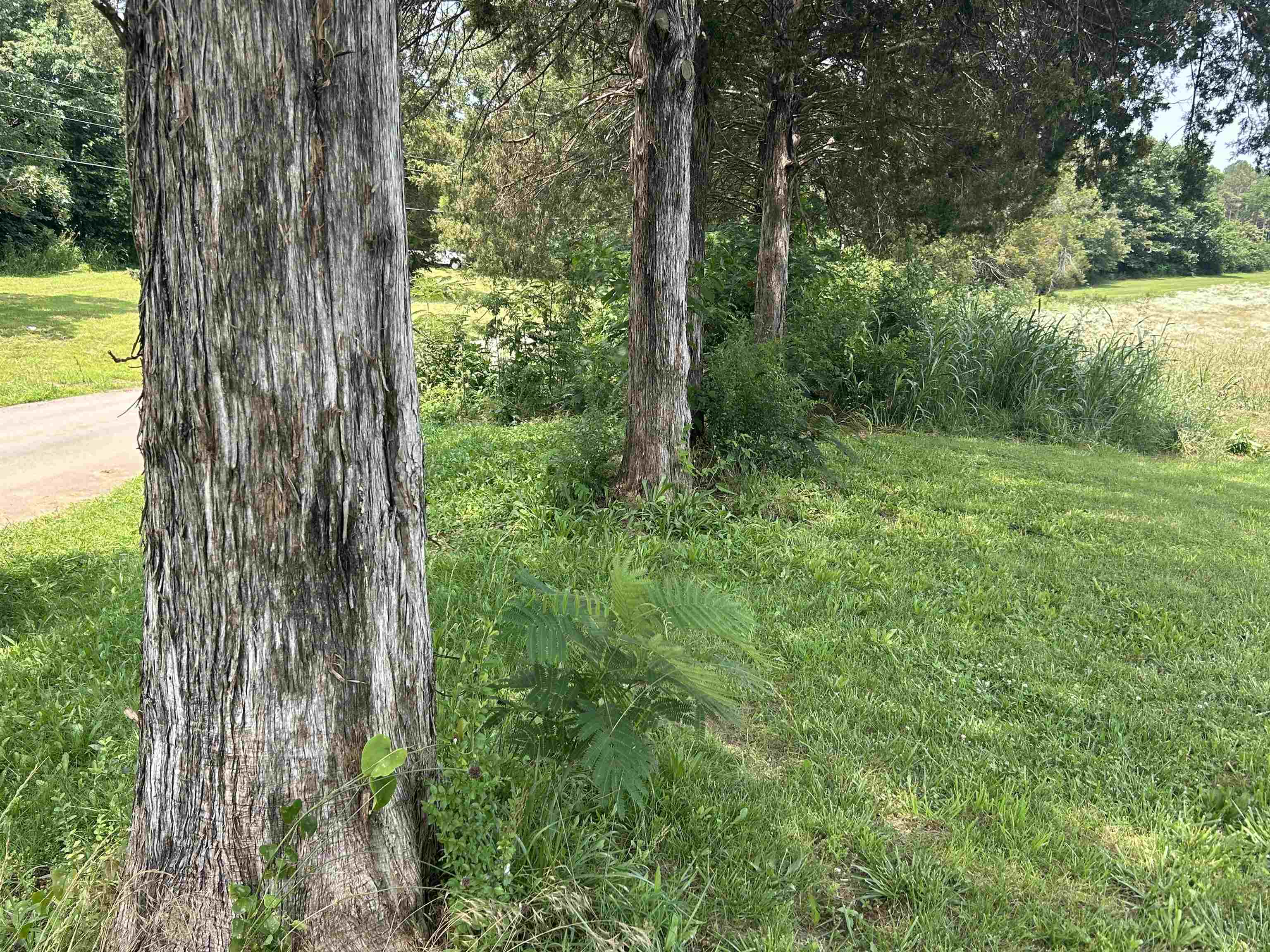 Photo 14 - Vacant Land for sale – 000  Gin Hill Road   Ash Flat, AR