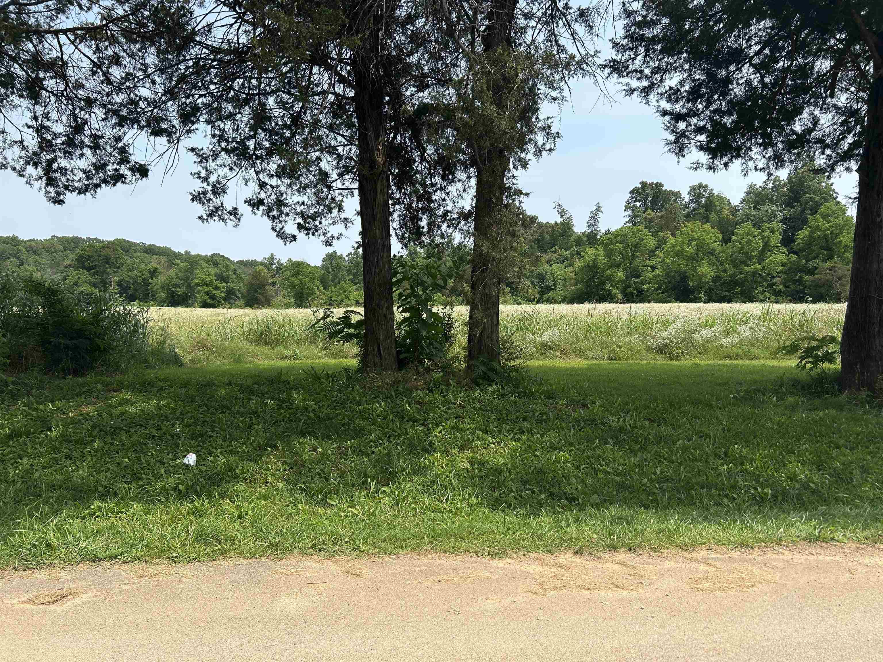 Photo 15 - Vacant Land for sale – 000  Gin Hill Road   Ash Flat, AR