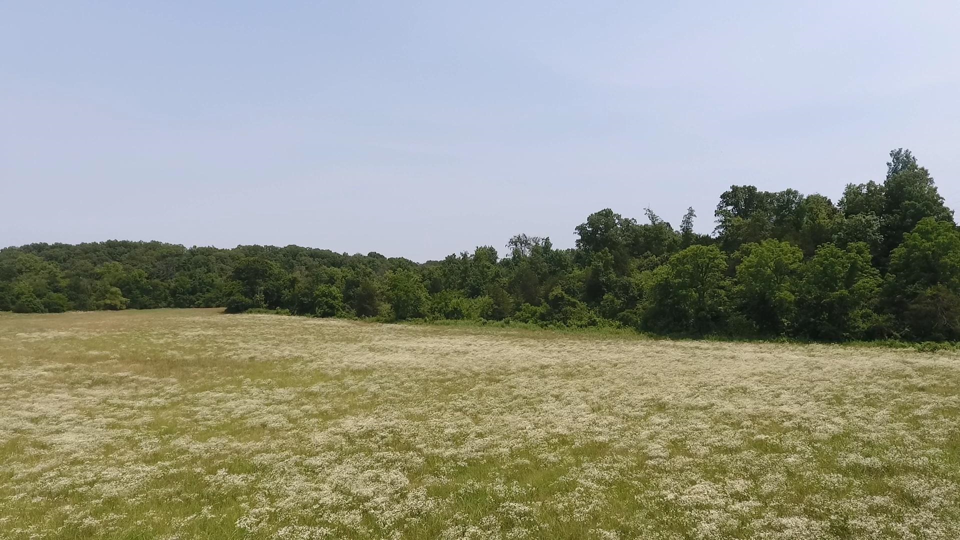 Photo 18 - Vacant Land for sale – 000  Gin Hill Road   Ash Flat, AR