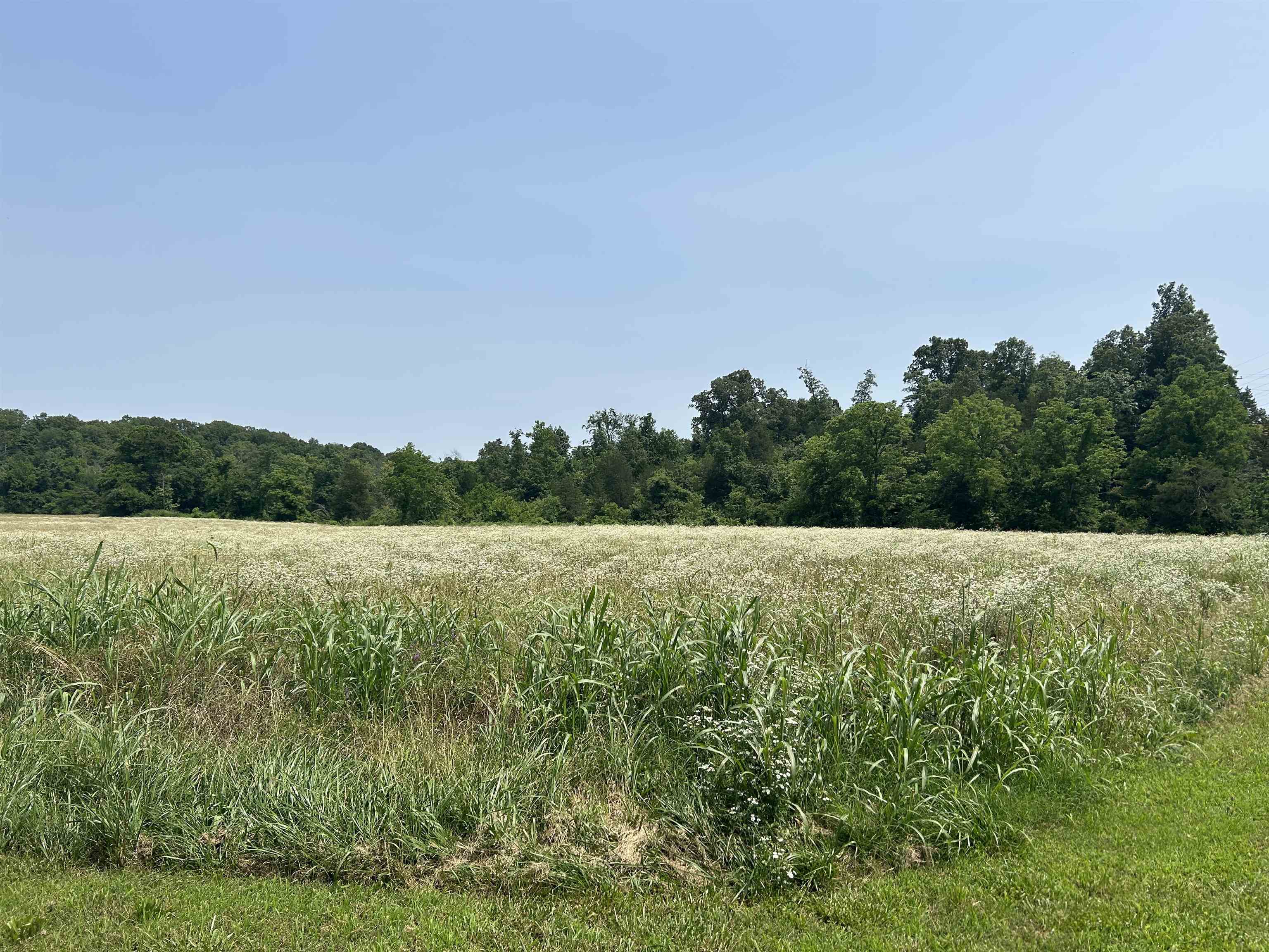 Photo 19 - Vacant Land for sale – 000  Gin Hill Road   Ash Flat, AR
