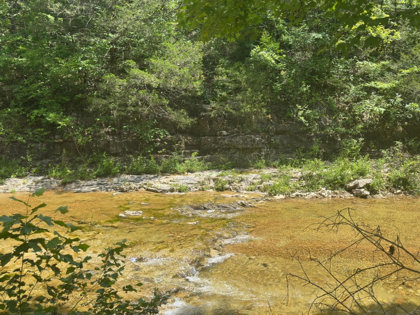 Photo 14 - Vacant Land for sale – 2275  Highway 63   Hardy, AR