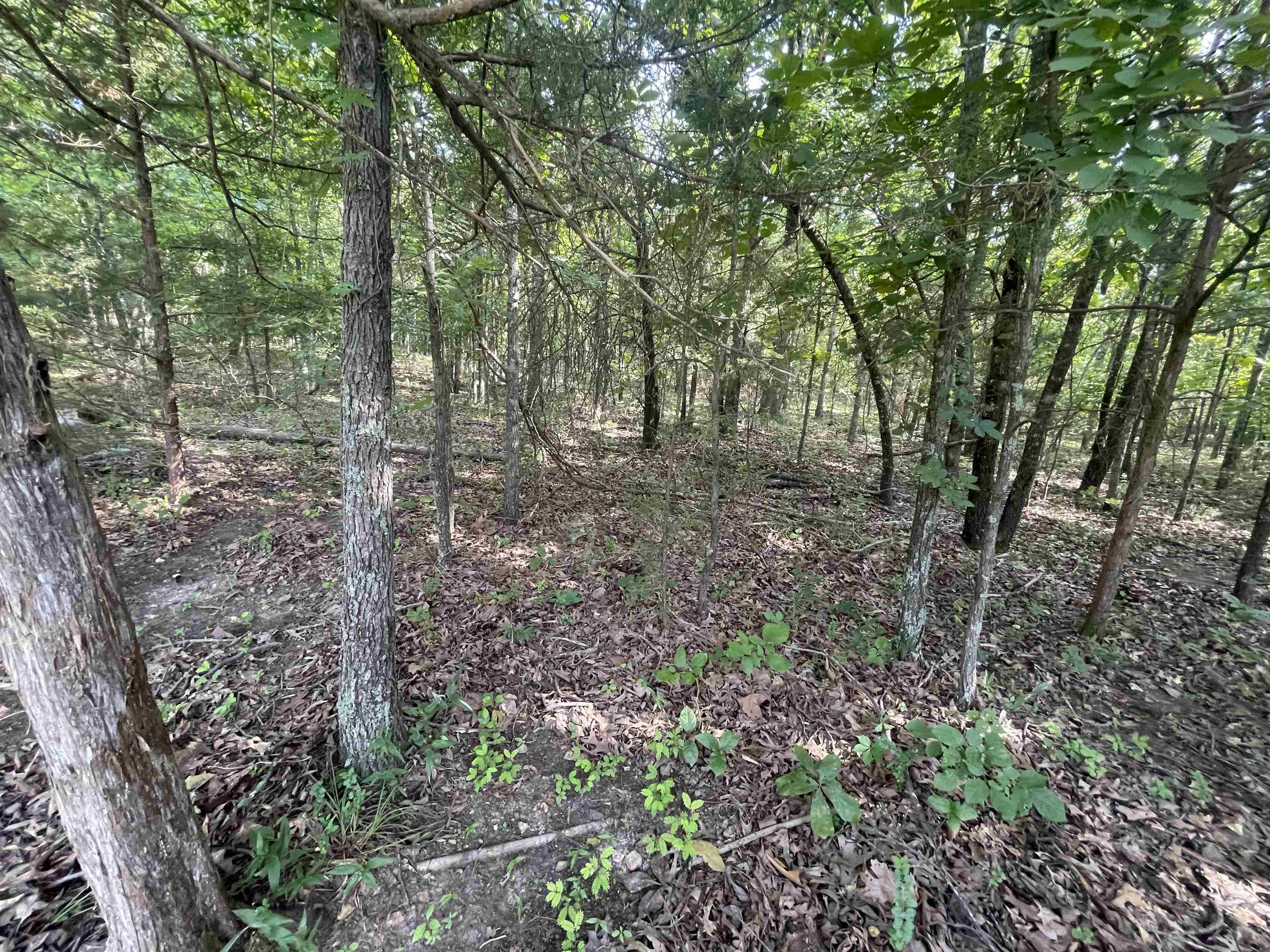 Photo 3 - Residential for sale – 743  The Day   Ash Flat, AR
