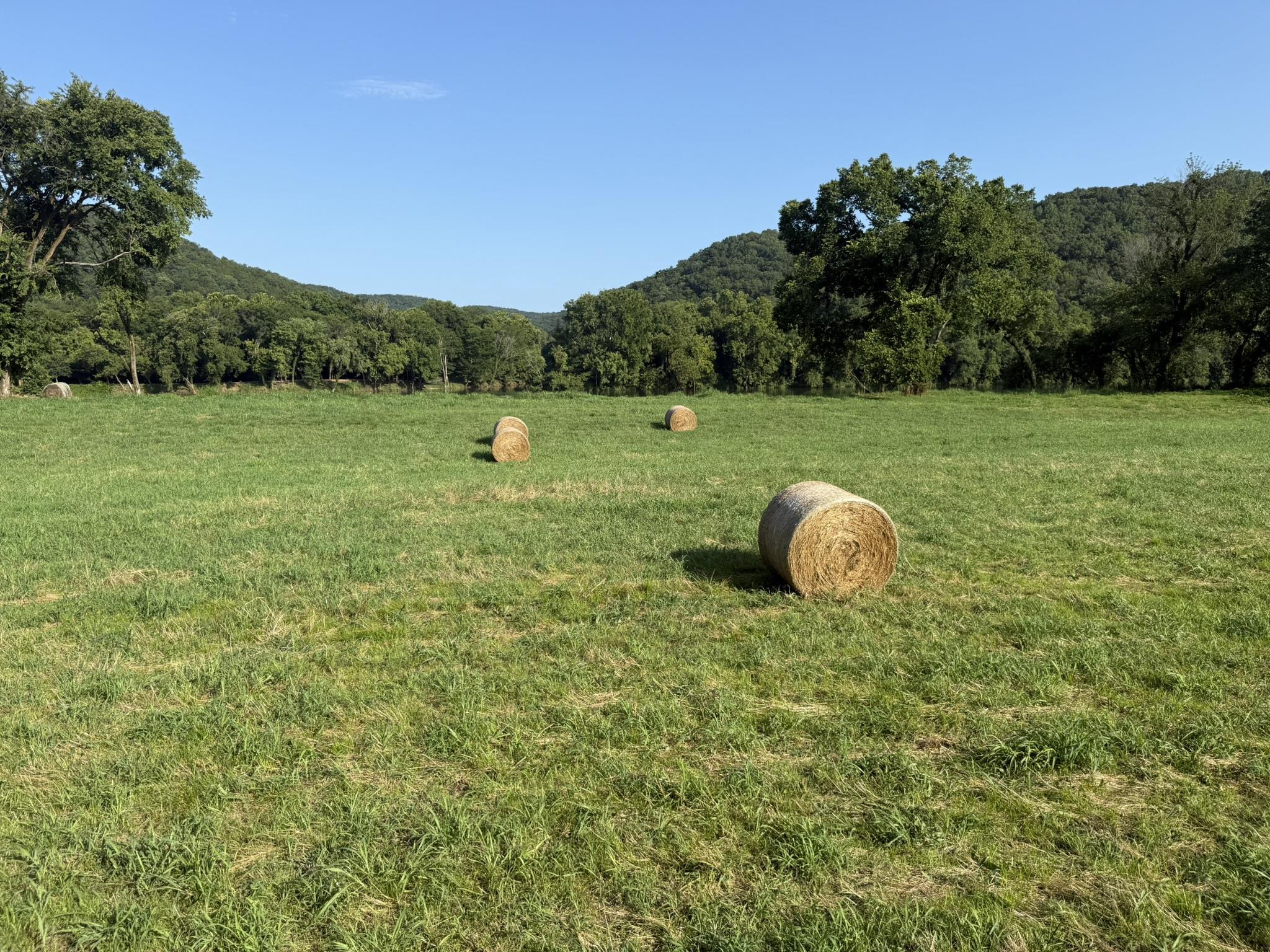 Photo 2 - Vacant Land for sale – 000  Schoolhouse Road   Melbourne, AR