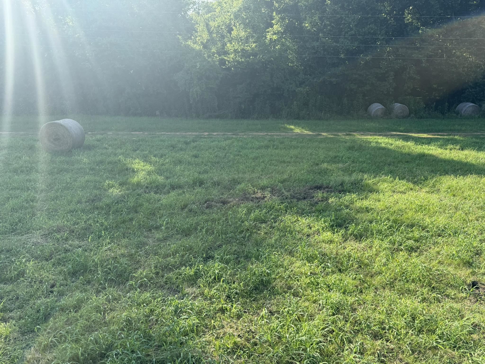 Photo 3 - Vacant Land for sale – 000  Schoolhouse Road   Melbourne, AR