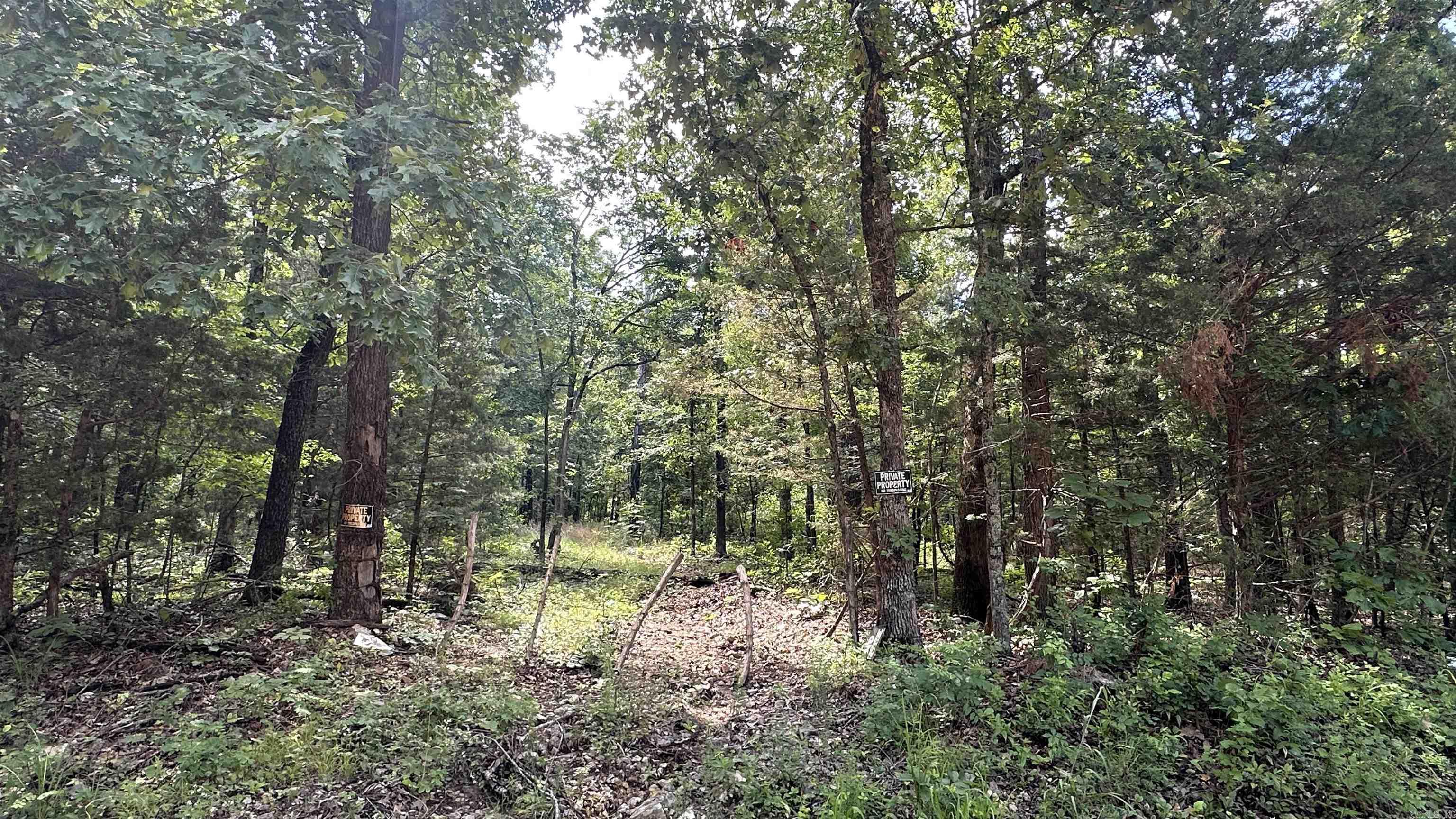 Photo 2 - Vacant Land for sale – 000  E. Campground Rd.   Ash Flat, AR