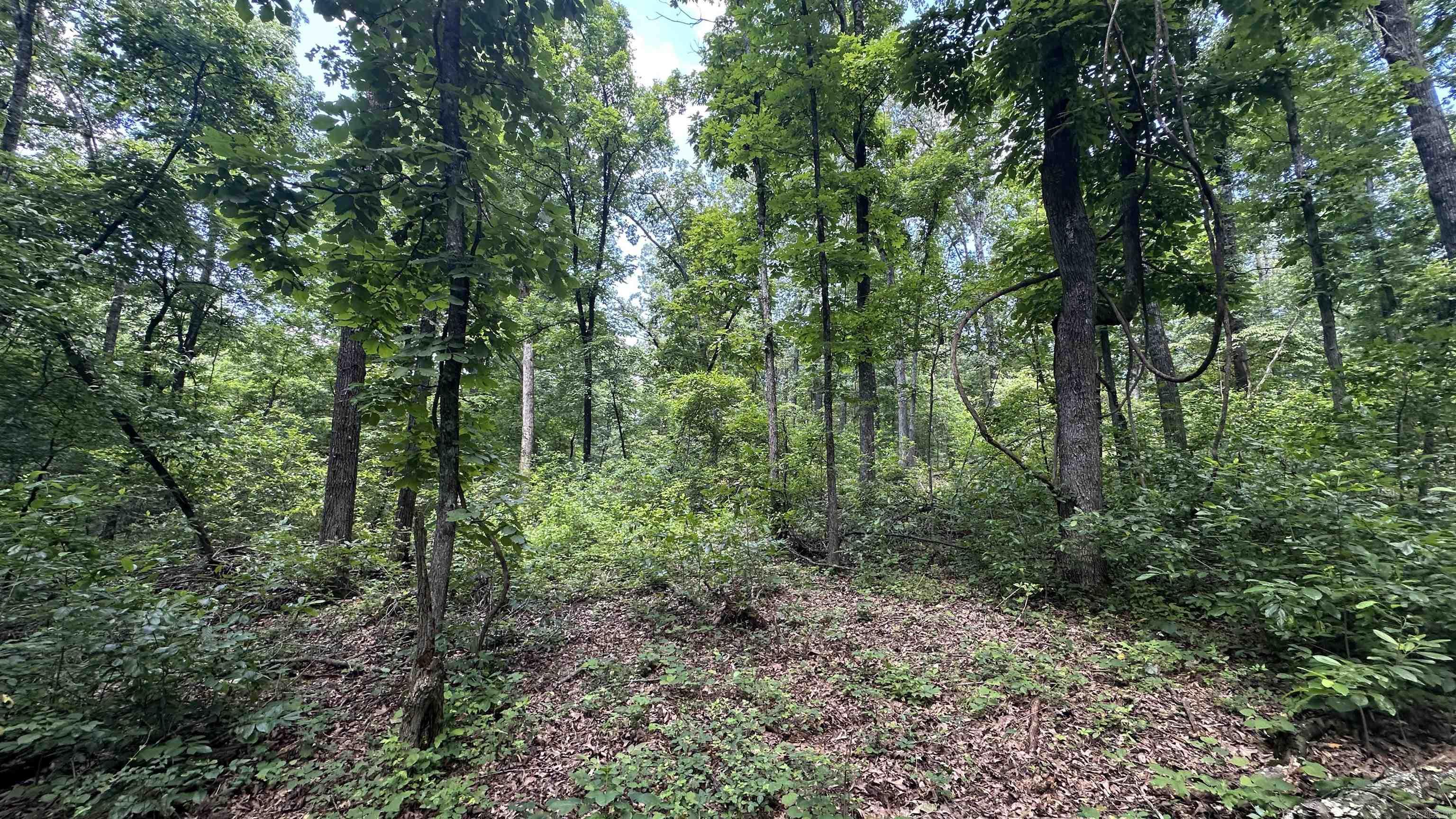 Photo 11 - Vacant Land for sale – 000  E. Campground Rd.   Ash Flat, AR