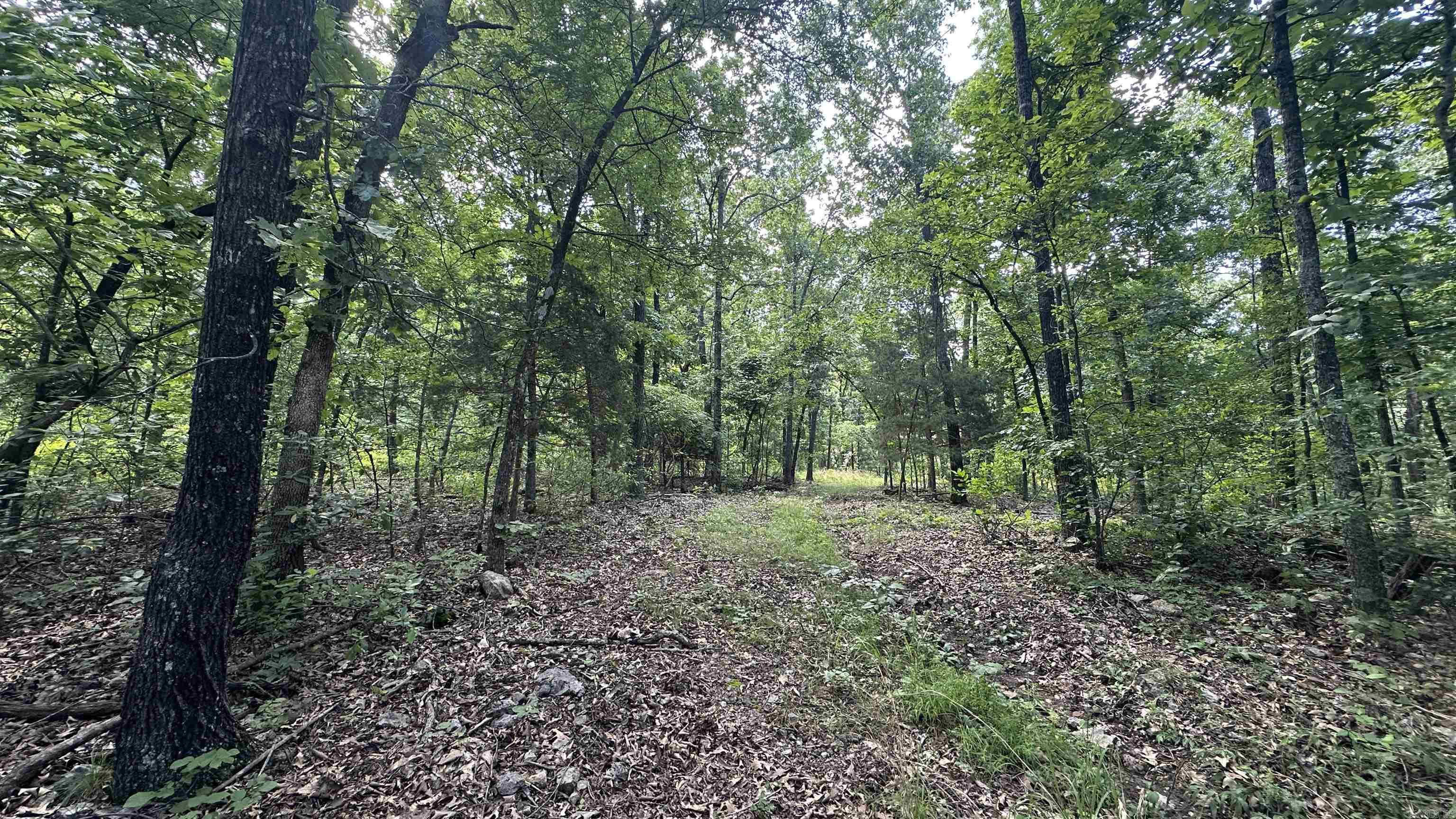 Photo 3 - Vacant Land for sale – 000  E. Campground Rd.   Ash Flat, AR