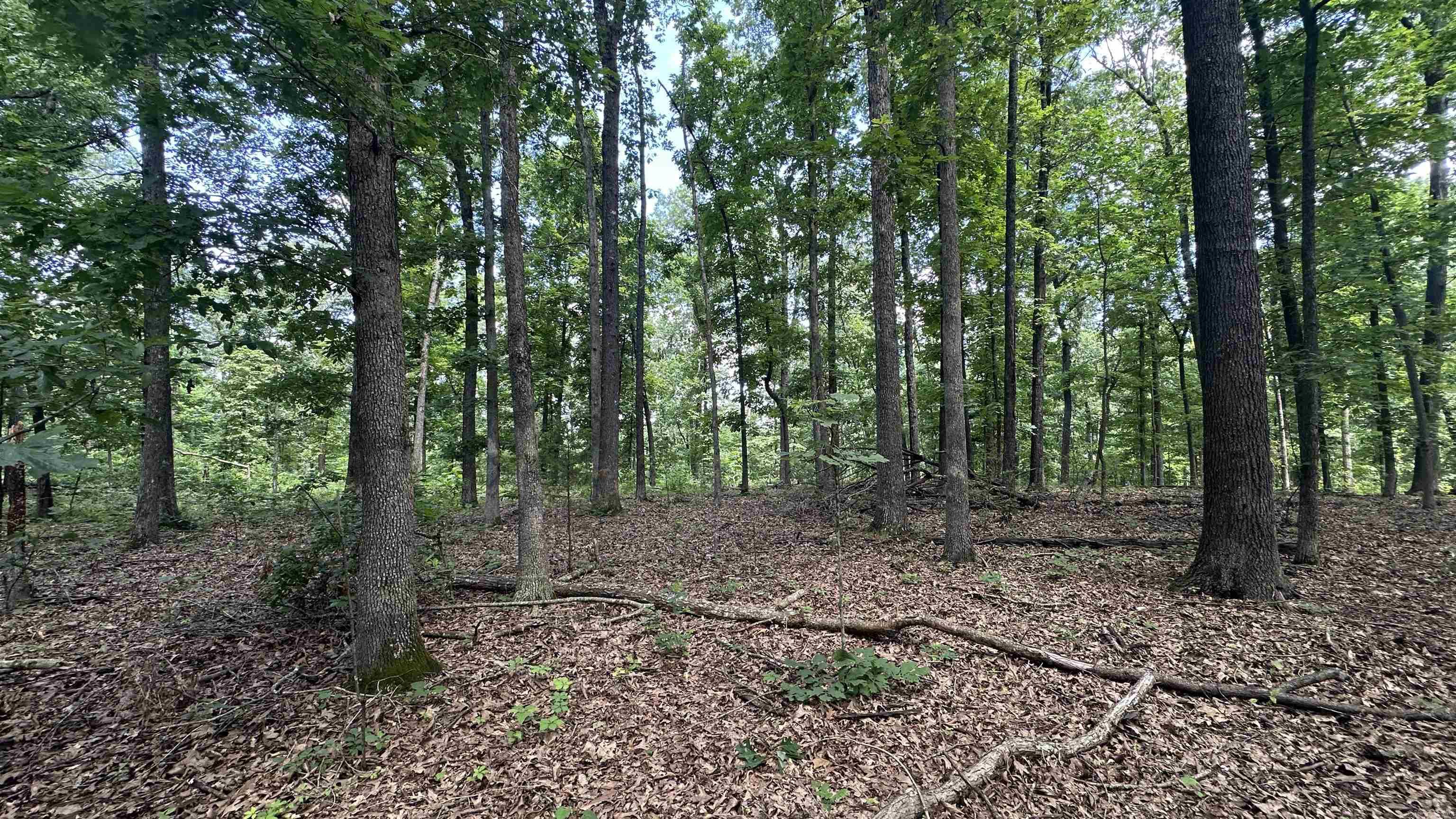 Photo 6 - Vacant Land for sale – 000  E. Campground Rd.   Ash Flat, AR