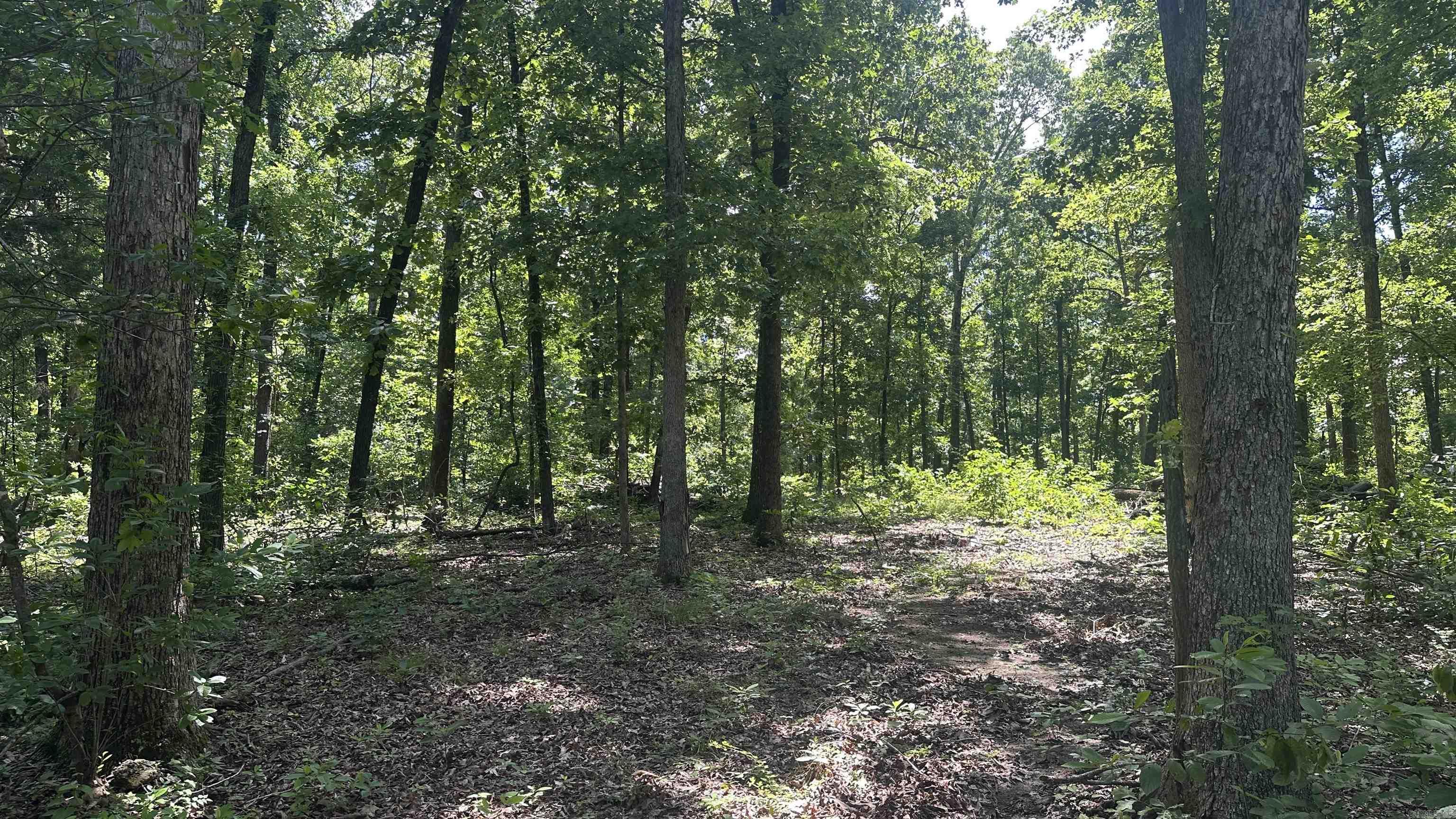 Photo 7 - Vacant Land for sale – 000  E. Campground Rd.   Ash Flat, AR