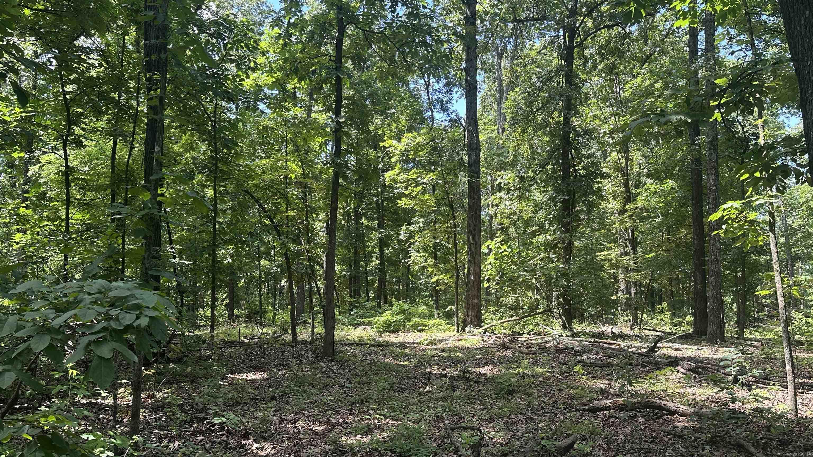 Photo 8 - Vacant Land for sale – 000  E. Campground Rd.   Ash Flat, AR