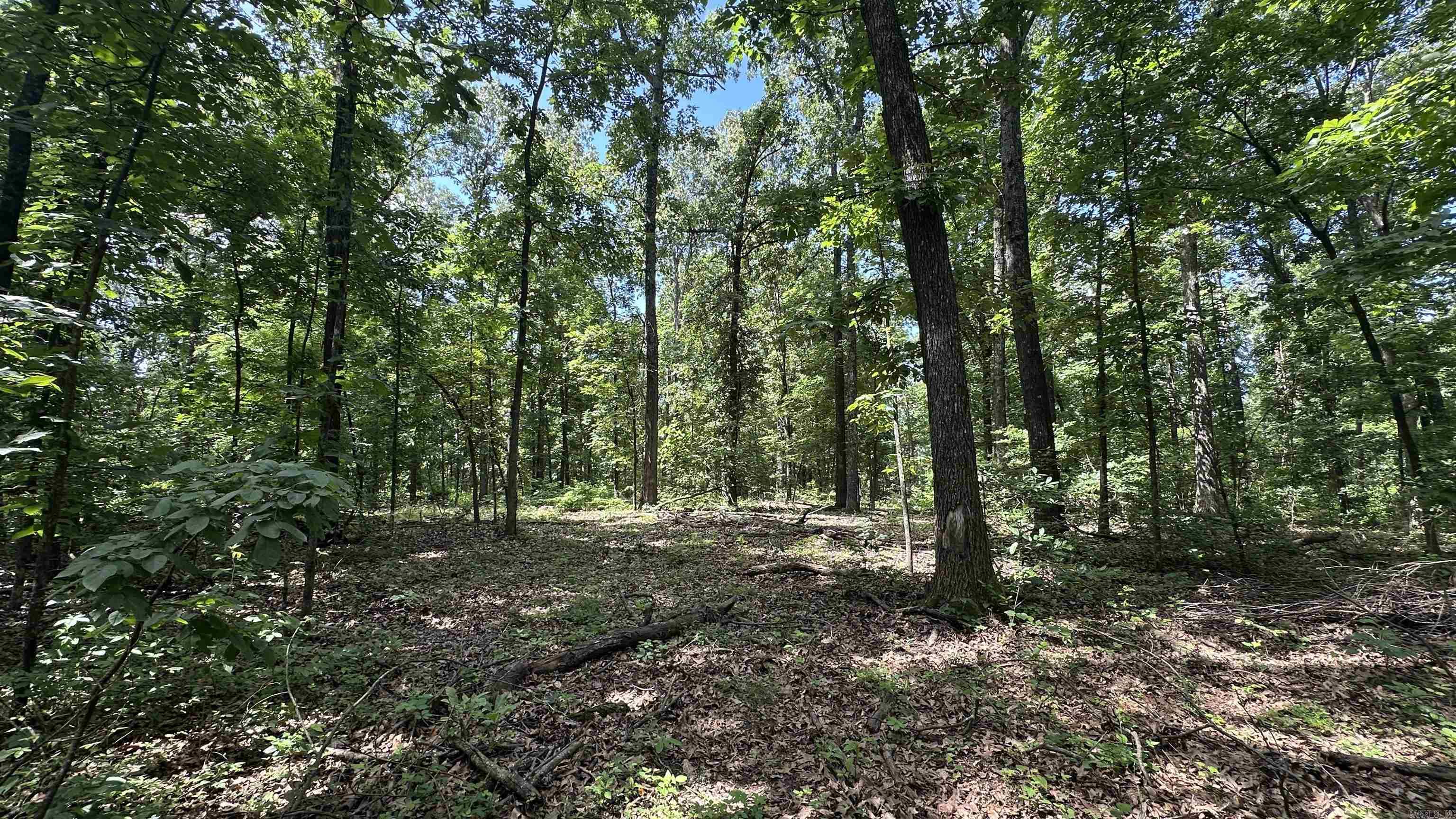 Photo 9 - Vacant Land for sale – 000  E. Campground Rd.   Ash Flat, AR