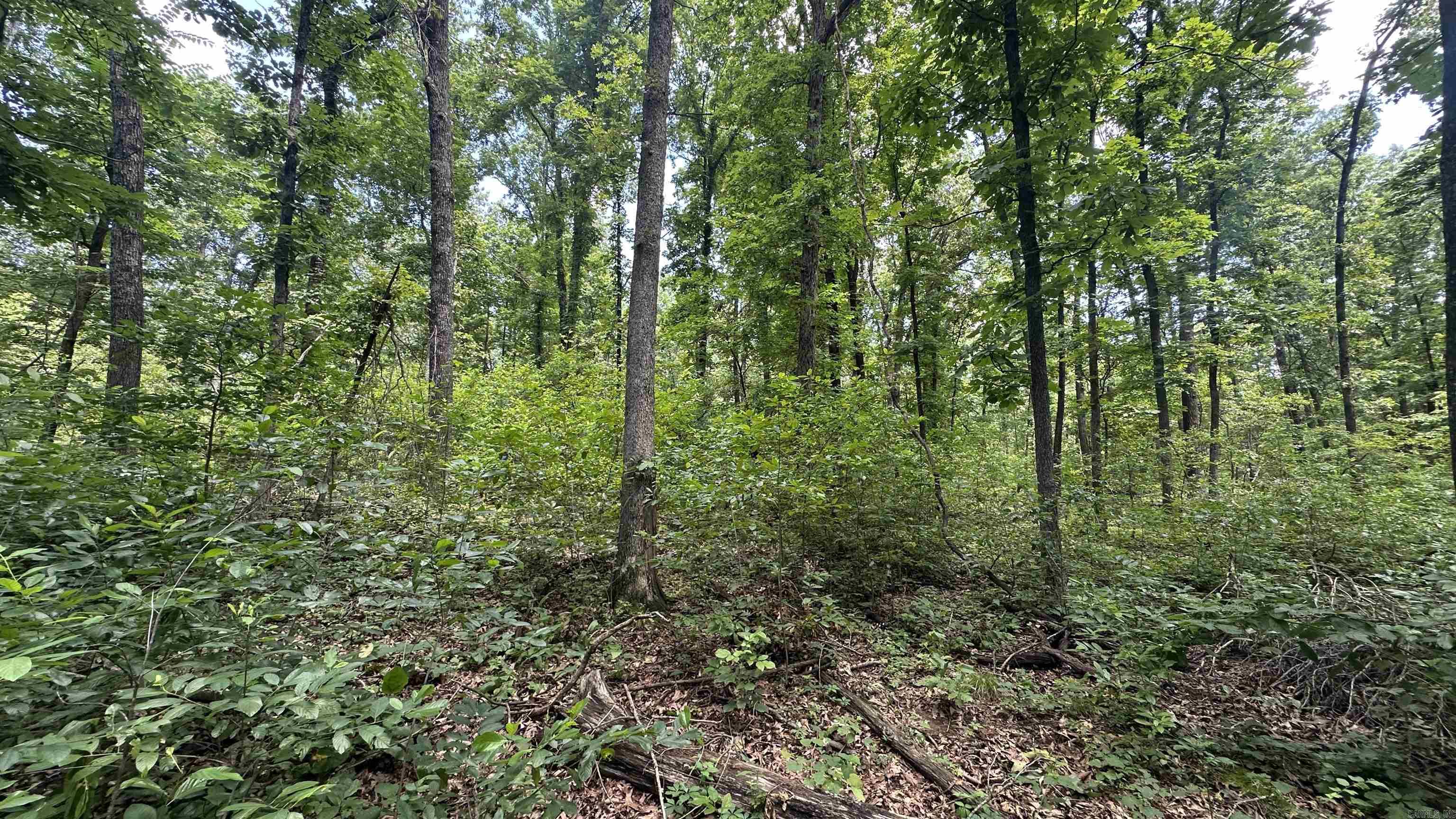 Photo 10 - Vacant Land for sale – 000  E. Campground Rd.   Ash Flat, AR