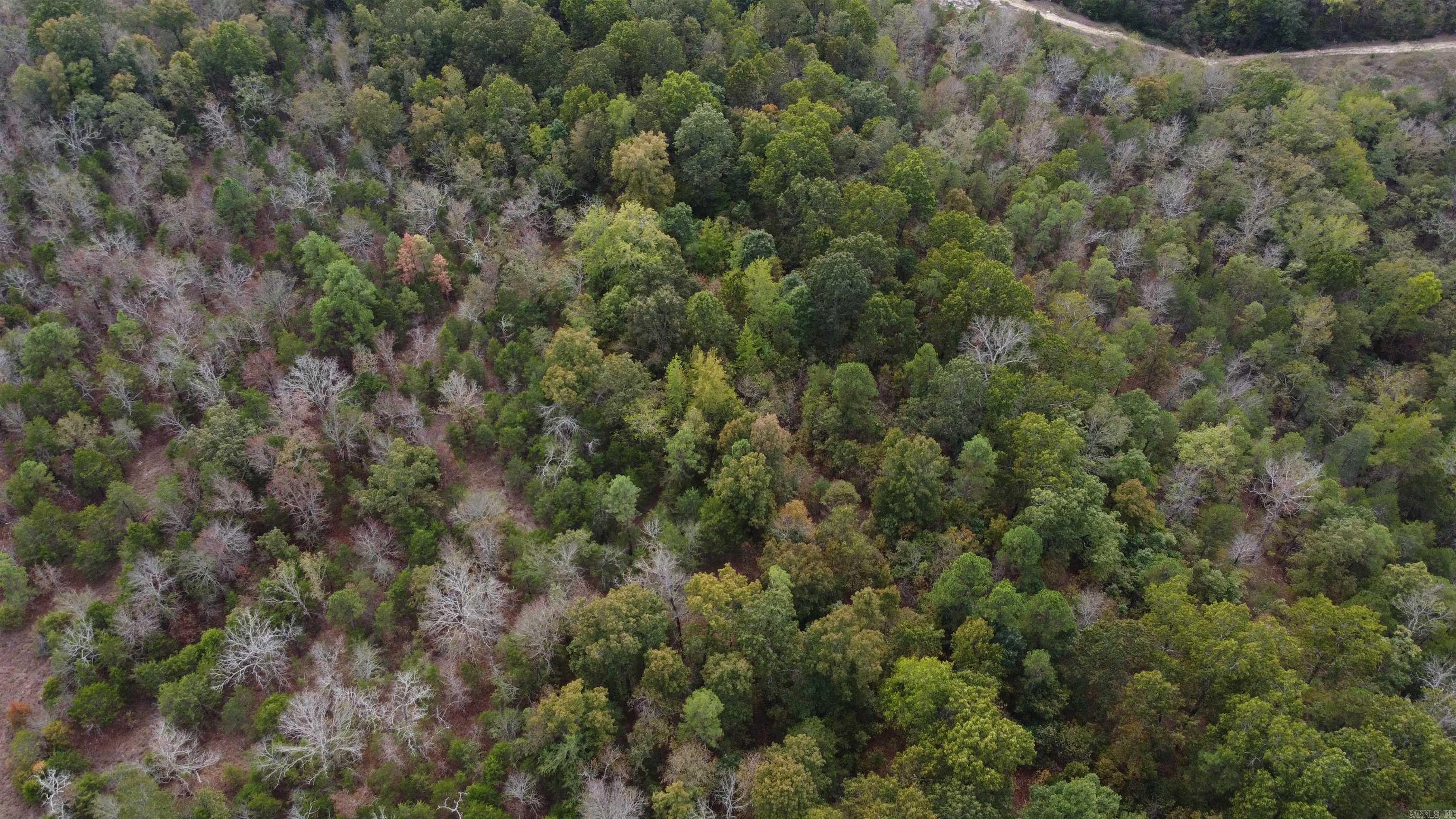 Photo 2 - Vacant Land for sale – 000  Old Dolph   Pineville, AR