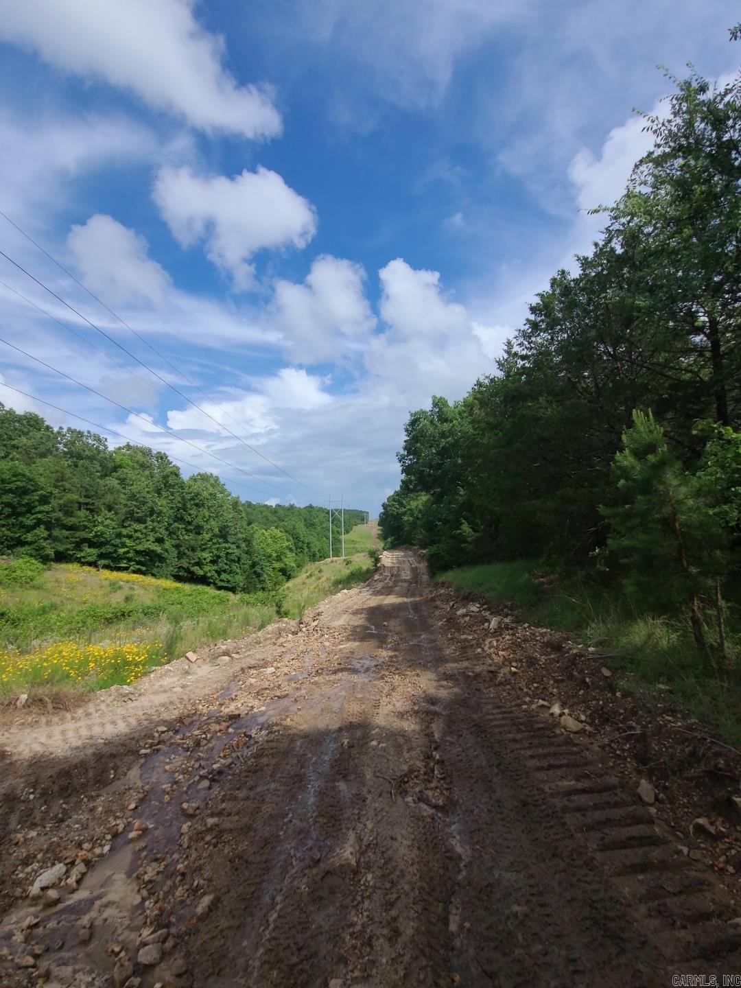 Photo 12 - Vacant Land for sale – 000  Old Dolph   Pineville, AR