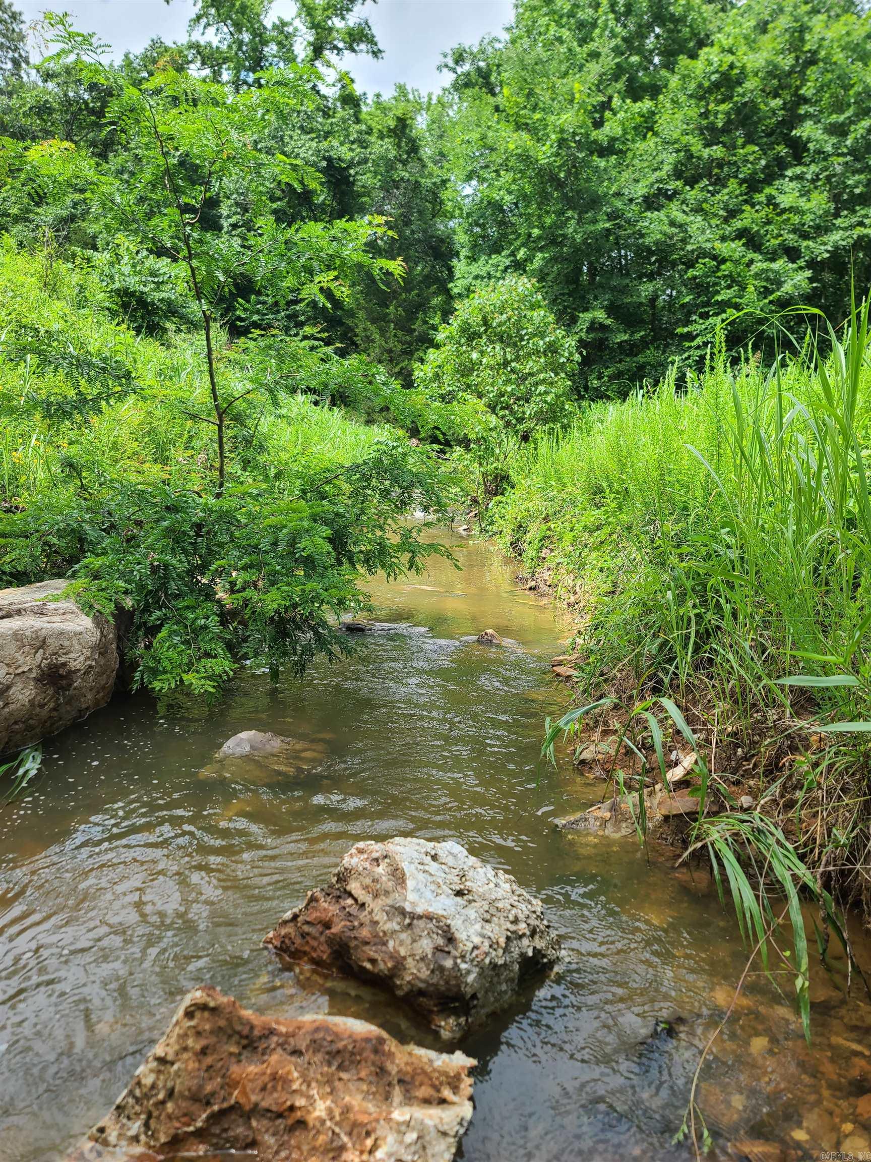 Photo 13 - Vacant Land for sale – 000  Old Dolph   Pineville, AR