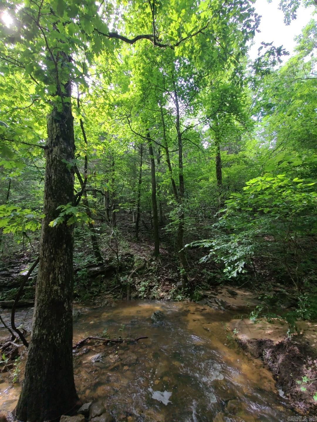 Photo 17 - Vacant Land for sale – 000  Old Dolph   Pineville, AR