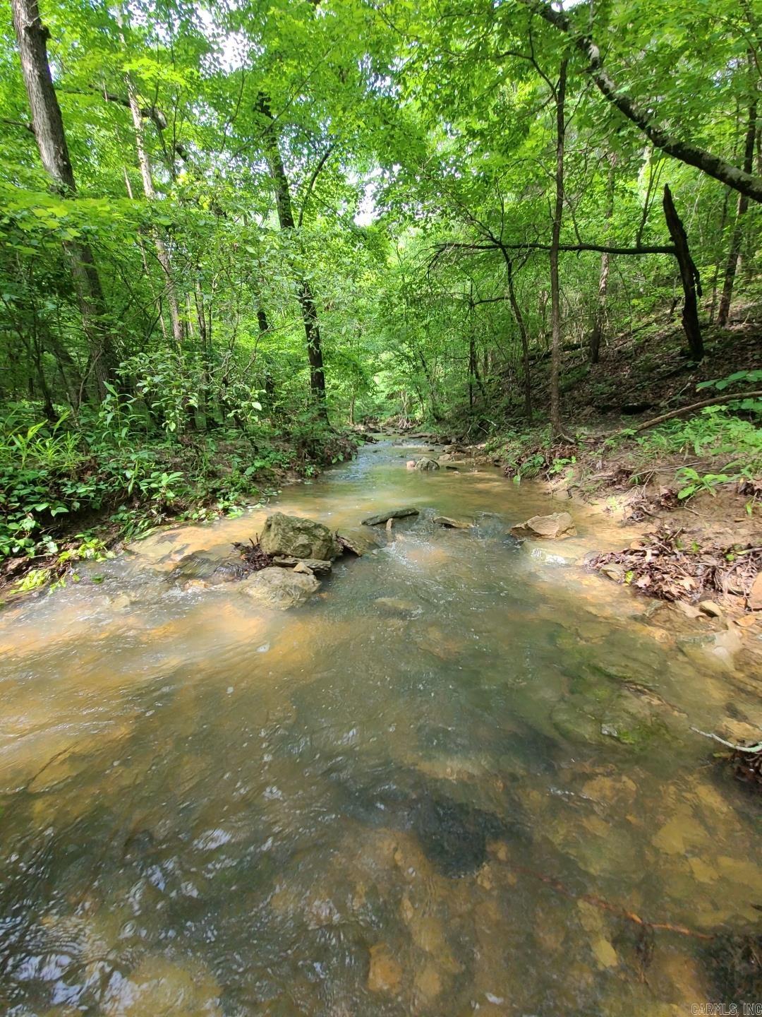 Photo 18 - Vacant Land for sale – 000  Old Dolph   Pineville, AR