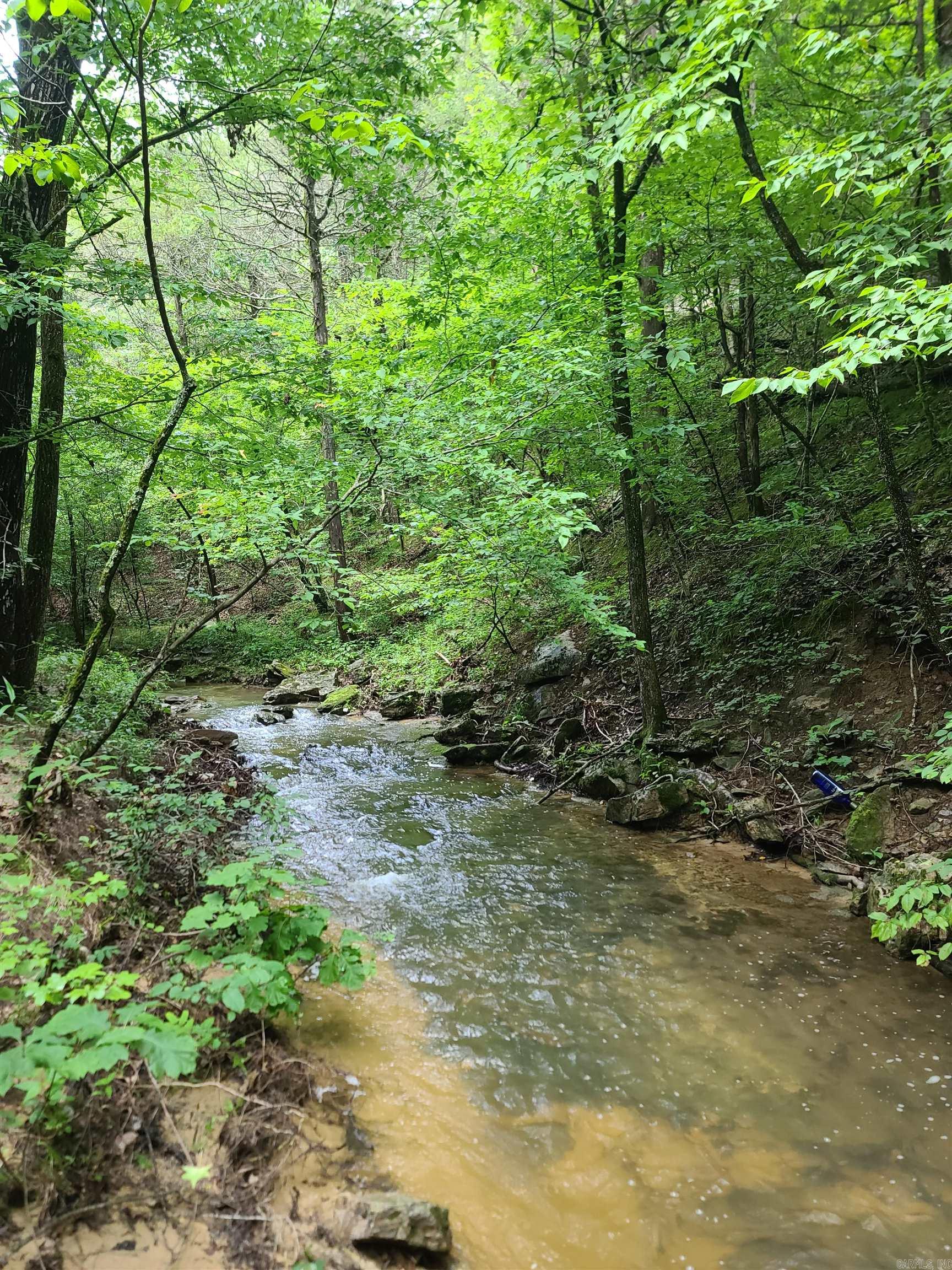 Photo 18 - Vacant Land for sale – 000  Old Dolph   Pineville, AR