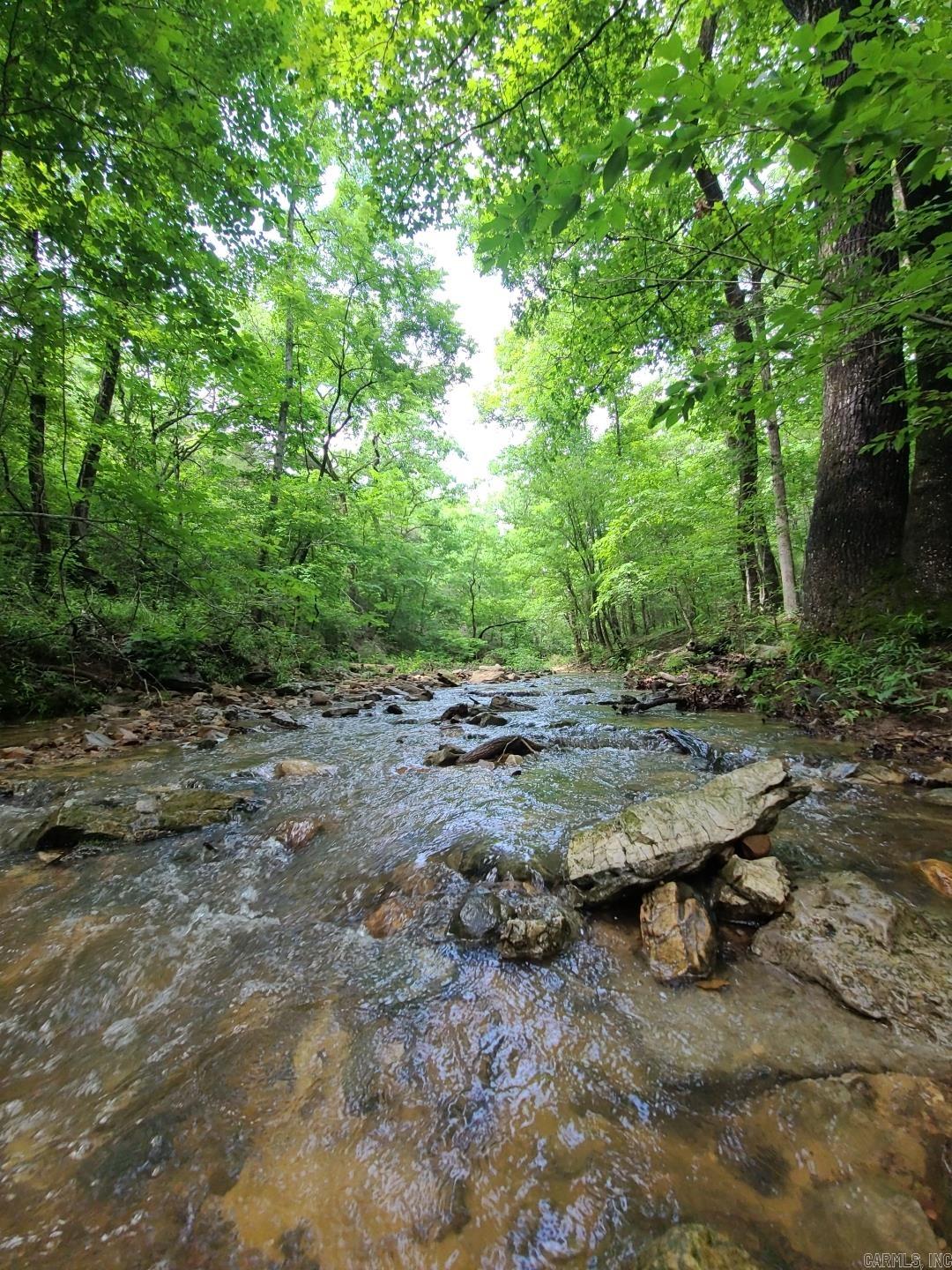 Photo 23 - Vacant Land for sale – 000  Old Dolph   Pineville, AR