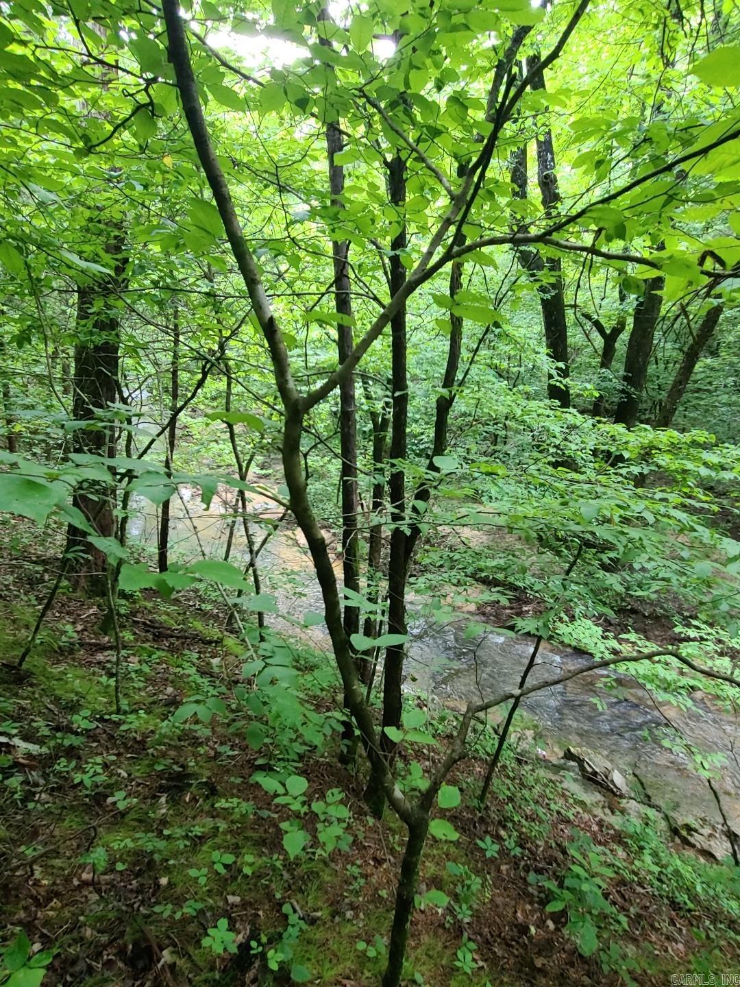 Photo 23 - Vacant Land for sale – 000  Old Dolph   Pineville, AR