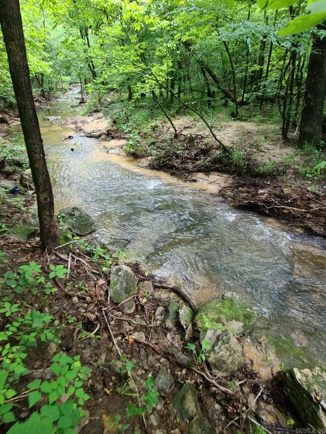 Photo 24 - Vacant Land for sale – 000  Old Dolph   Pineville, AR