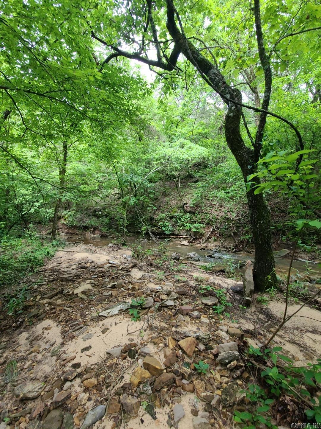 Photo 27 - Vacant Land for sale – 000  Old Dolph   Pineville, AR