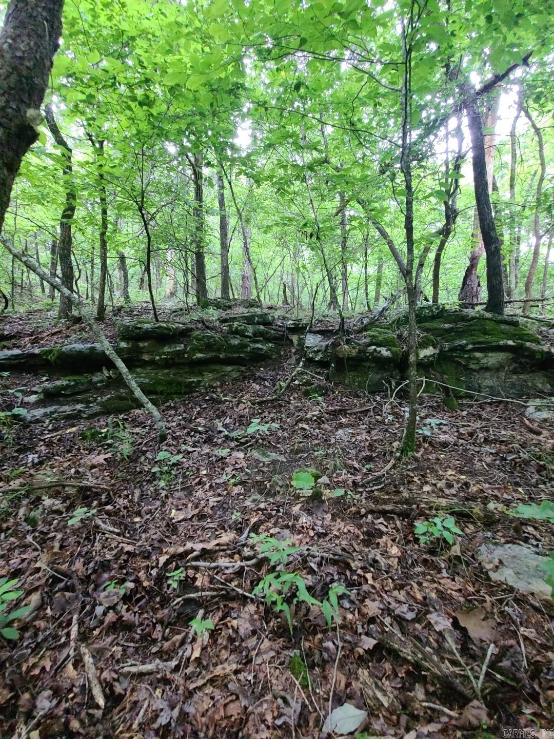 Photo 28 - Vacant Land for sale – 000  Old Dolph   Pineville, AR