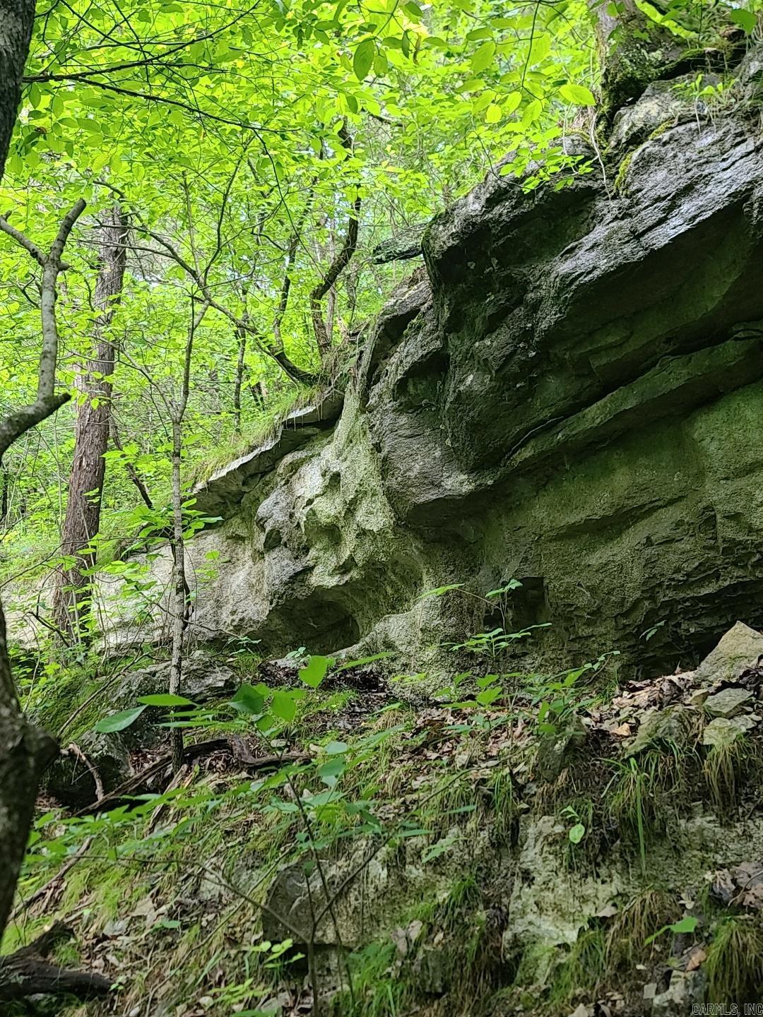 Photo 31 - Vacant Land for sale – 000  Old Dolph   Pineville, AR