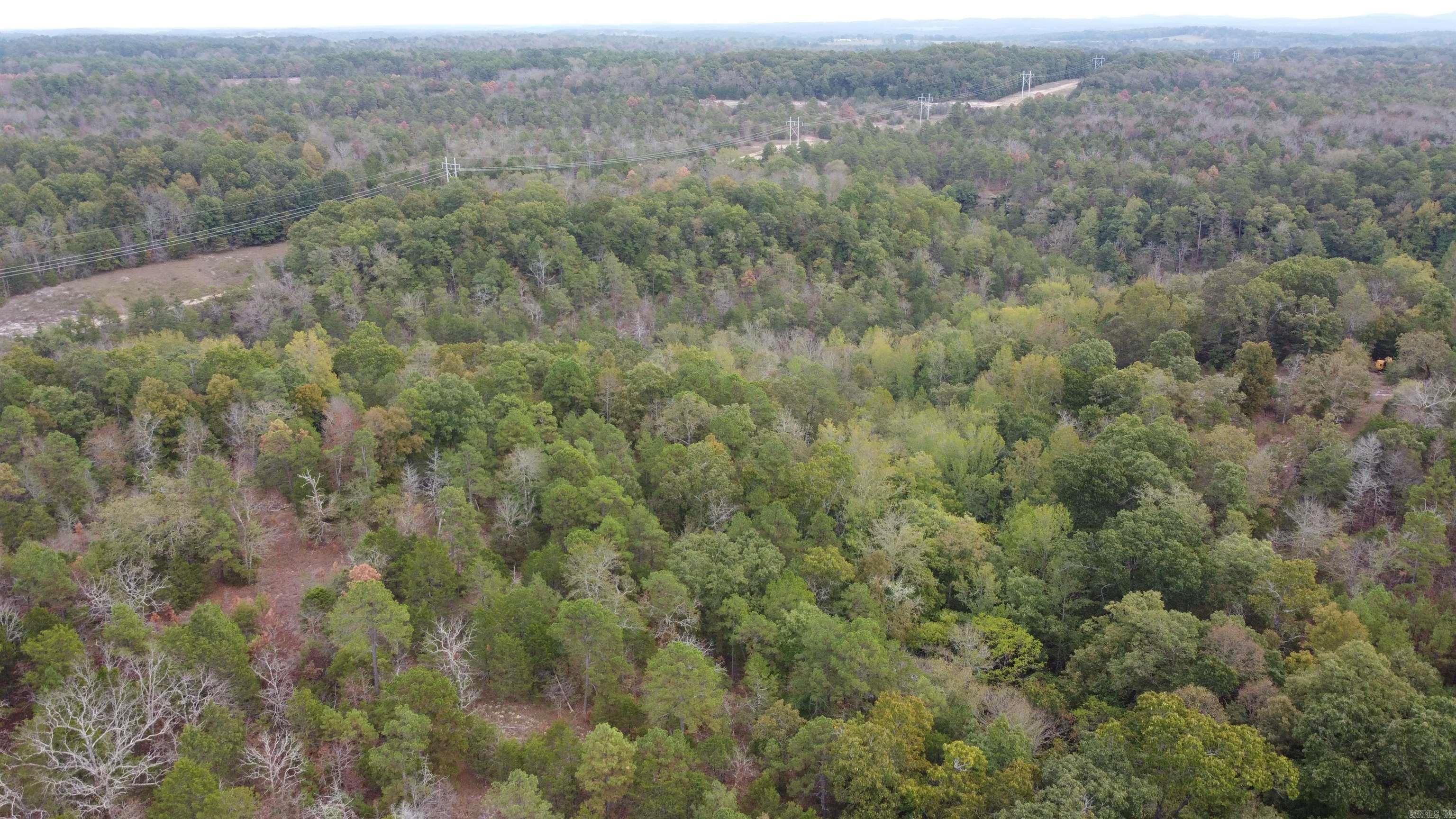 Photo 34 - Vacant Land for sale – 000  Old Dolph   Pineville, AR