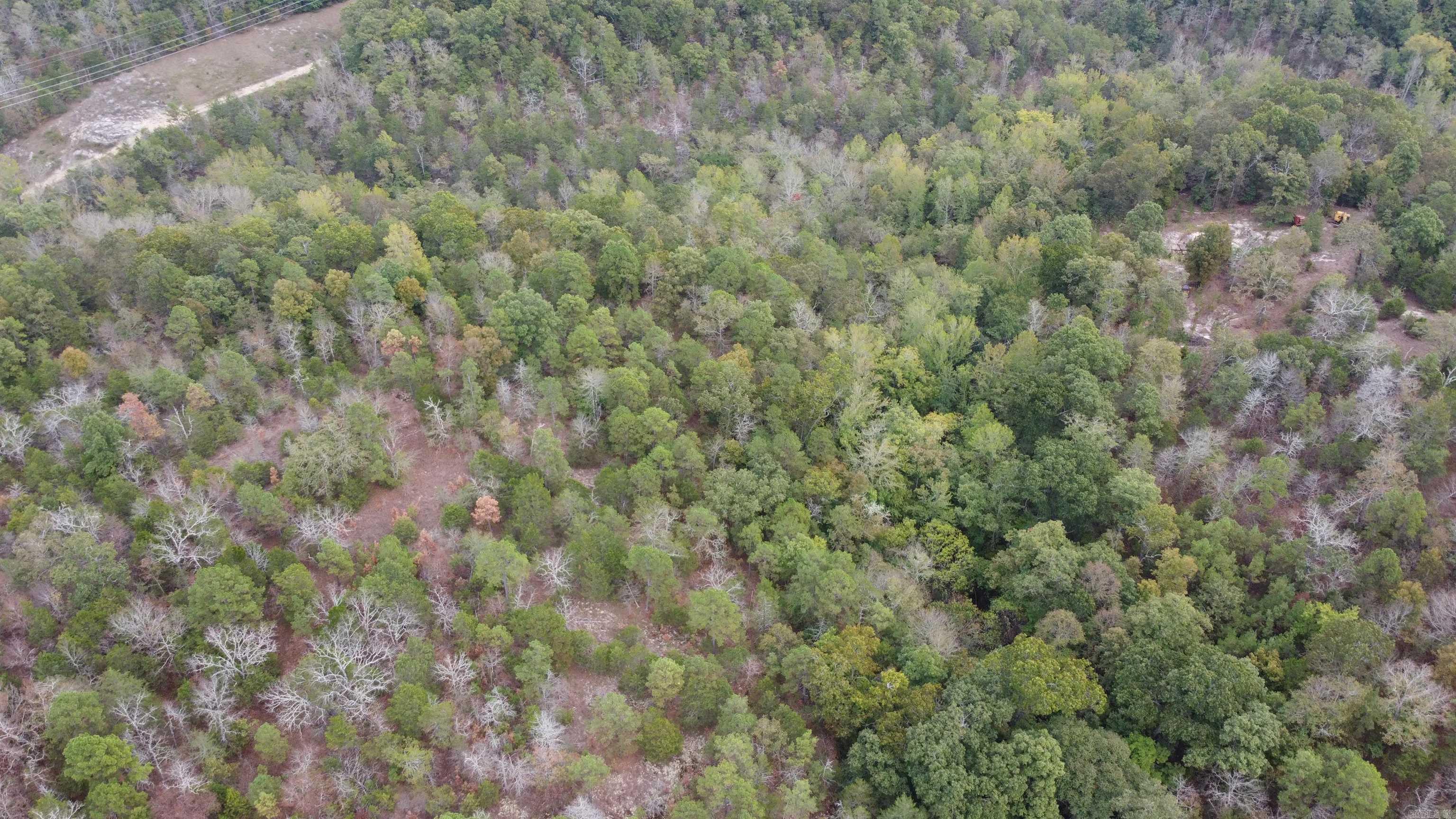 Photo 35 - Vacant Land for sale – 000  Old Dolph   Pineville, AR