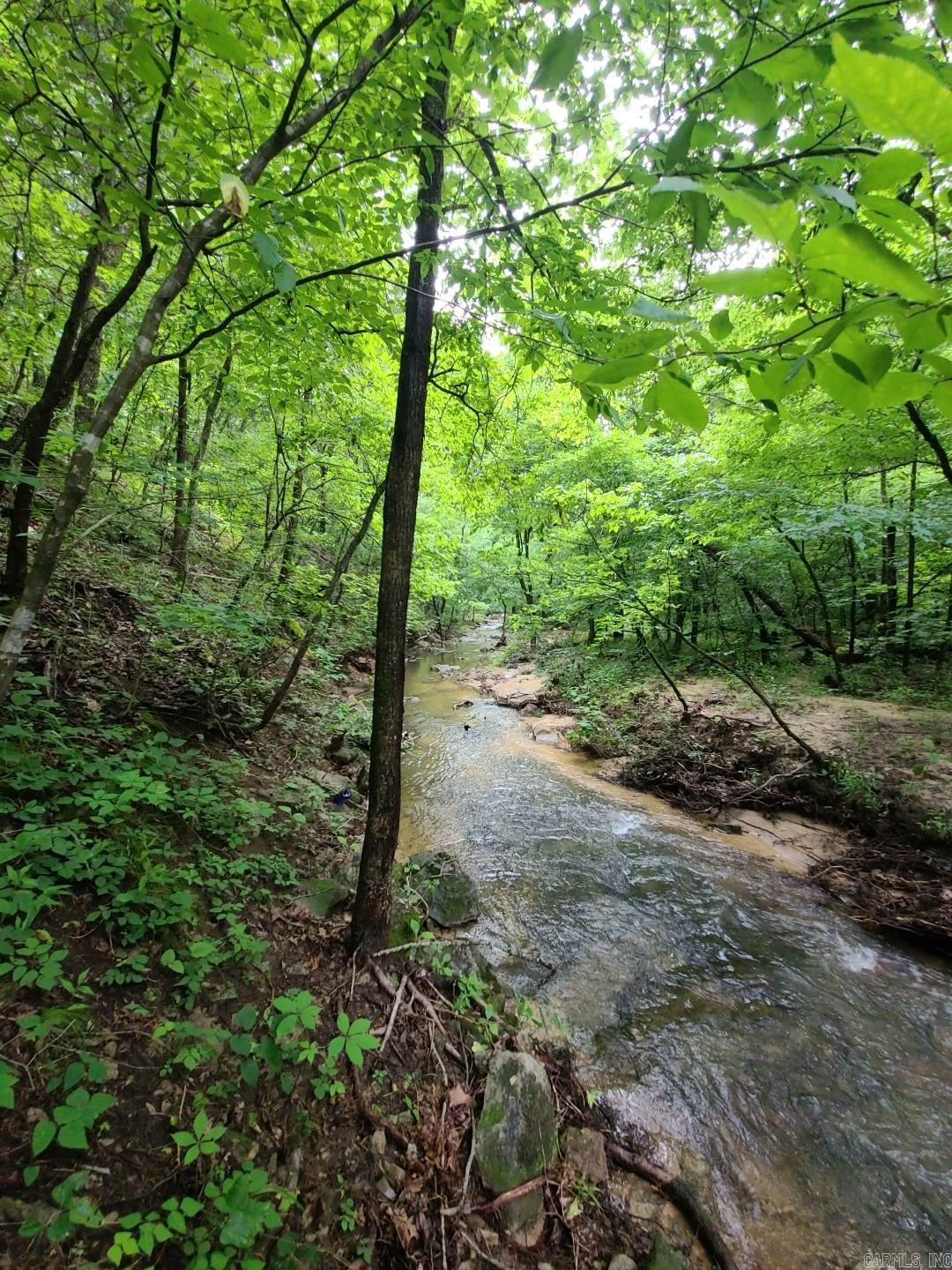 Photo 34 - Vacant Land for sale – 000  Old Dolph   Pineville, AR