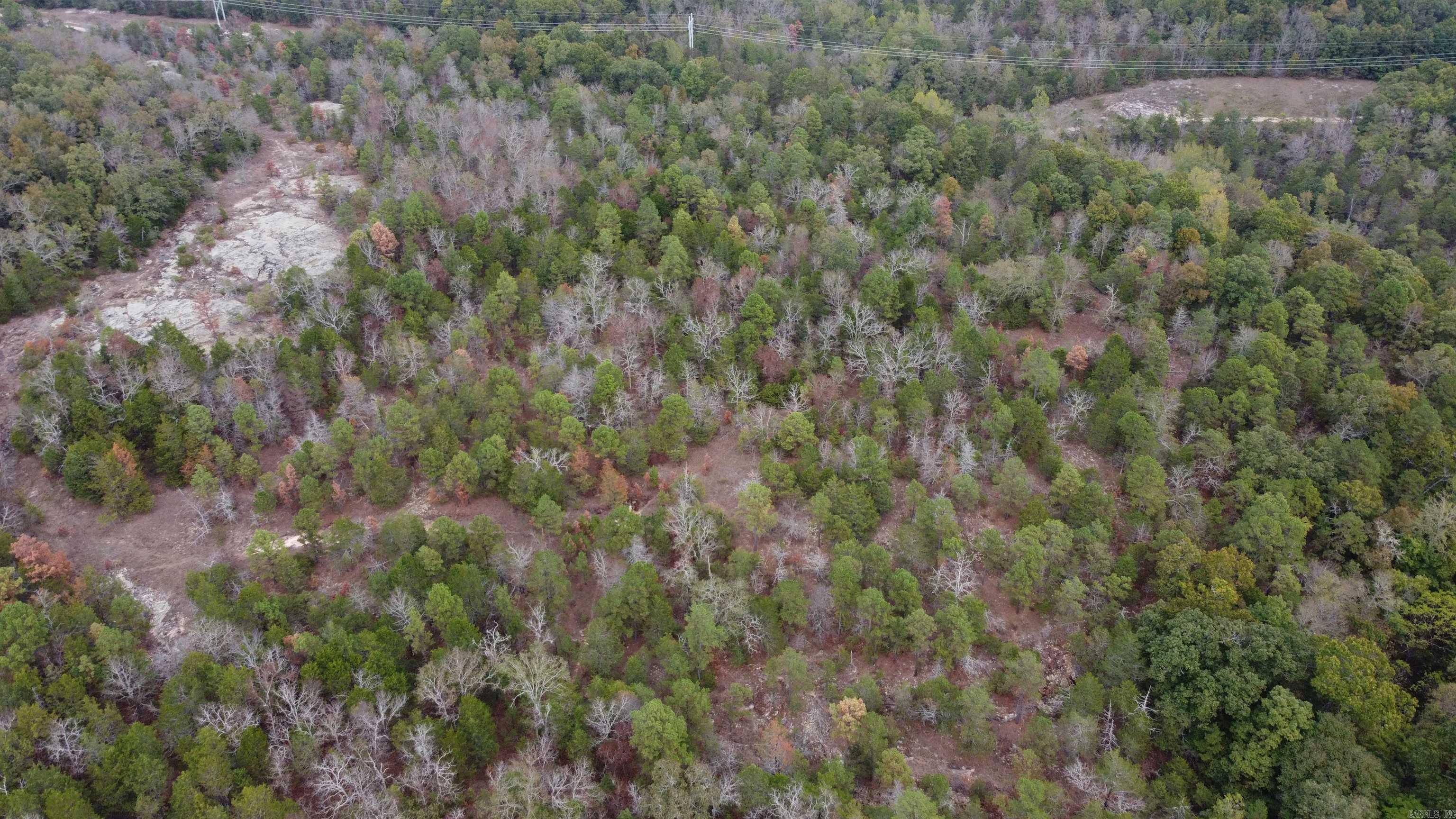Photo 37 - Vacant Land for sale – 000  Old Dolph   Pineville, AR