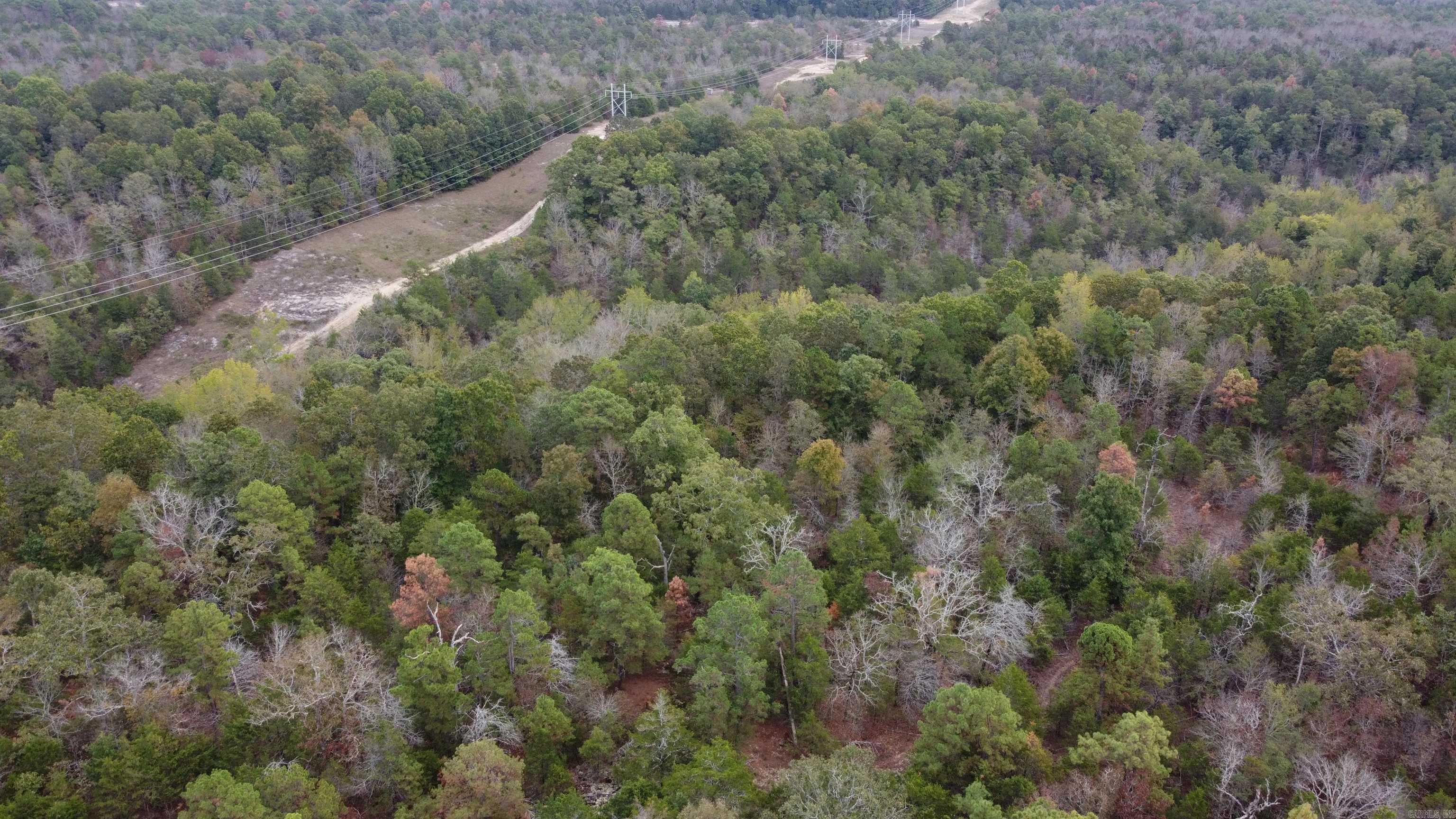 Photo 35 - Vacant Land for sale – 000  Old Dolph   Pineville, AR