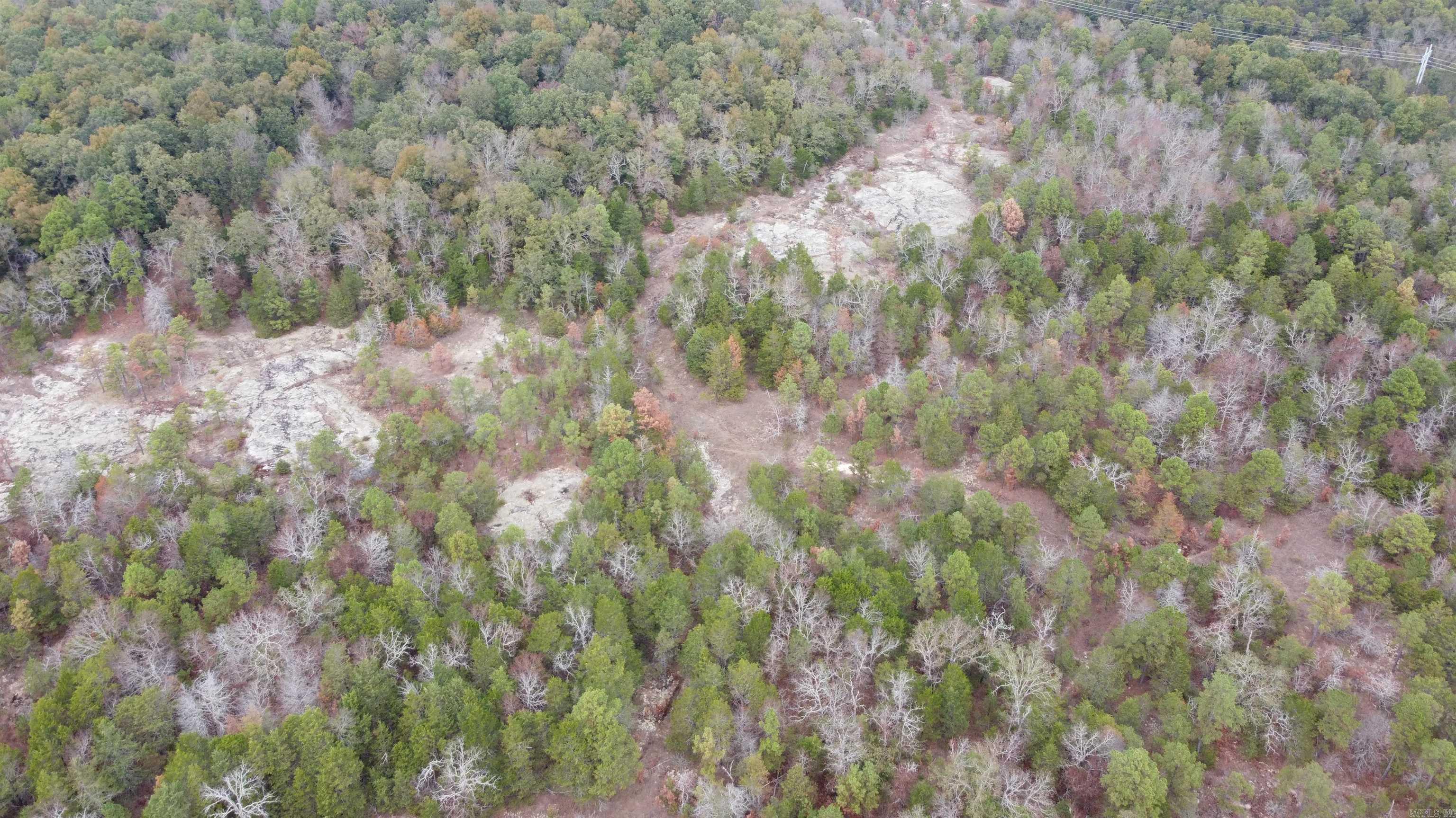 Photo 39 - Vacant Land for sale – 000  Old Dolph   Pineville, AR