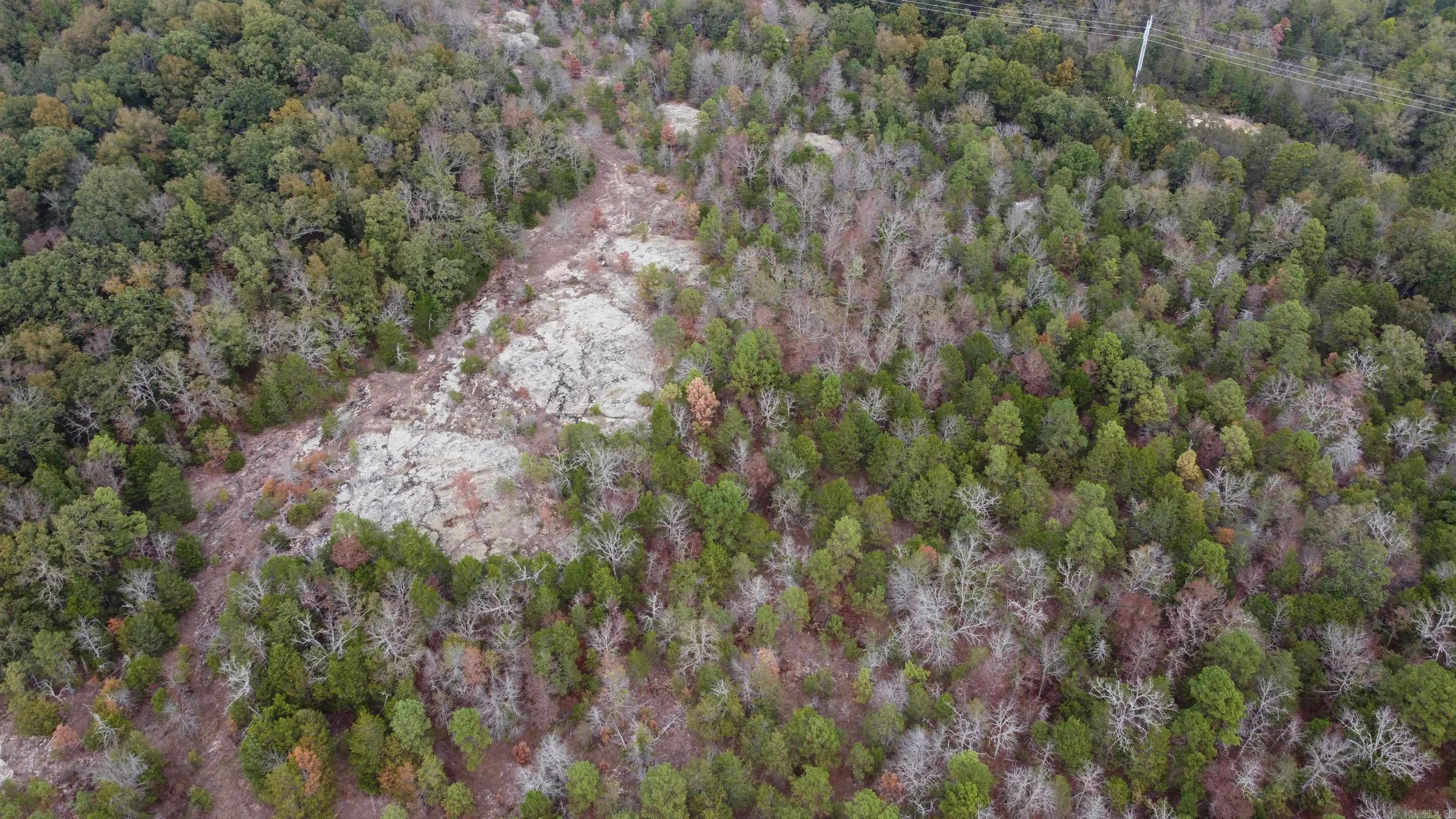 Photo 5 - Vacant Land for sale – 000  Old Dolph   Pineville, AR