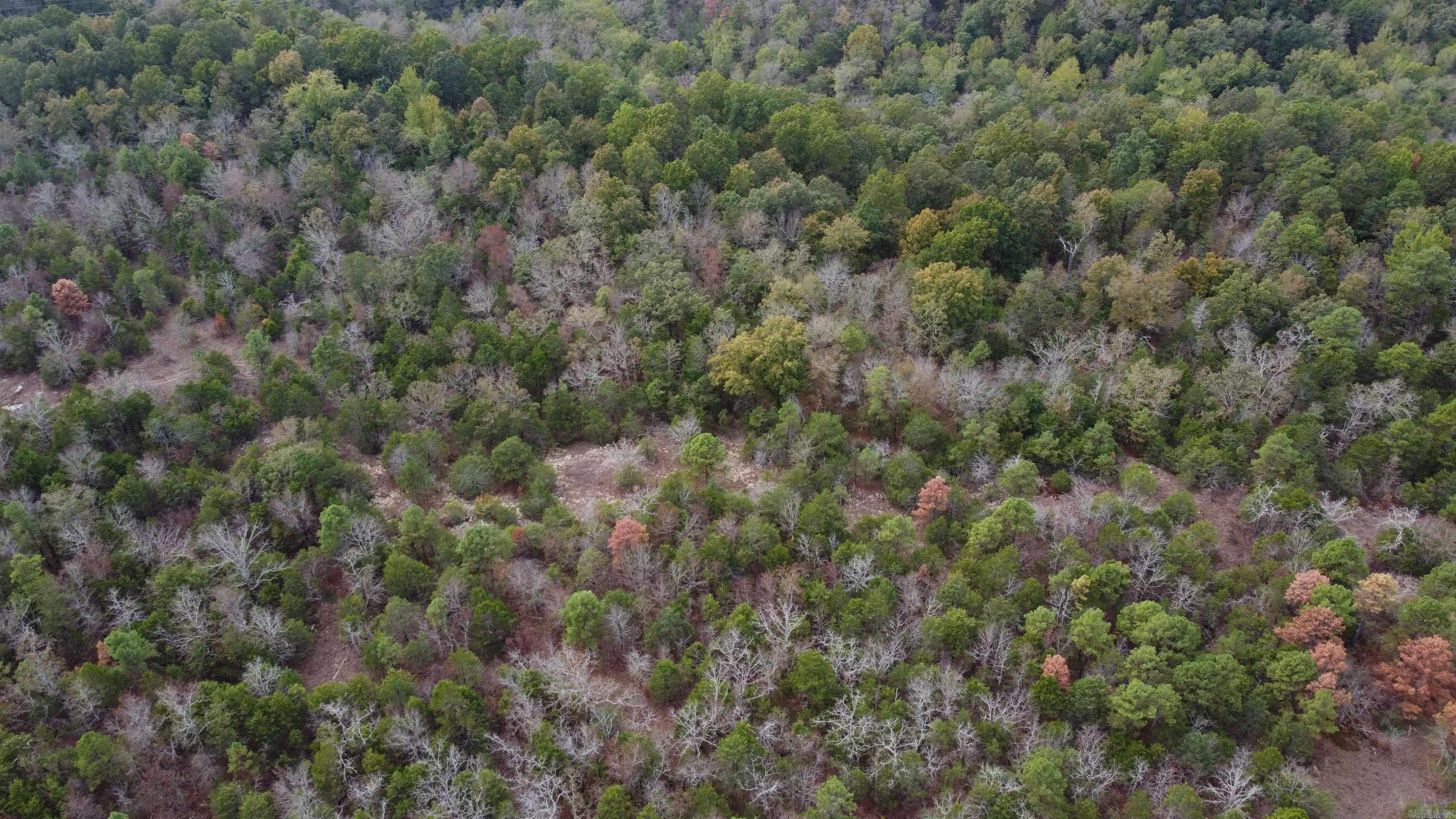 Photo 46 - Vacant Land for sale – 000  Old Dolph   Pineville, AR