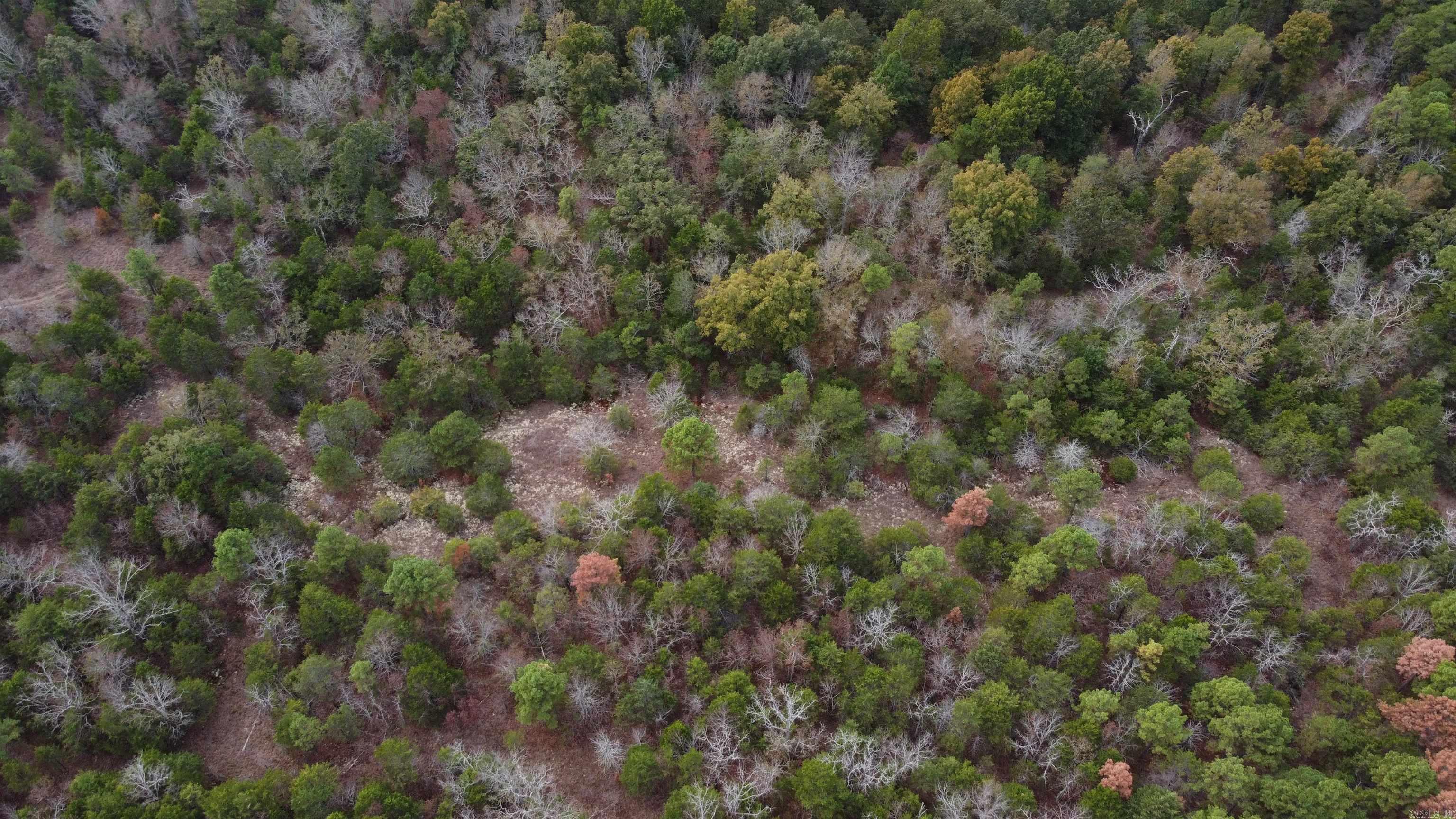 Photo 47 - Vacant Land for sale – 000  Old Dolph   Pineville, AR