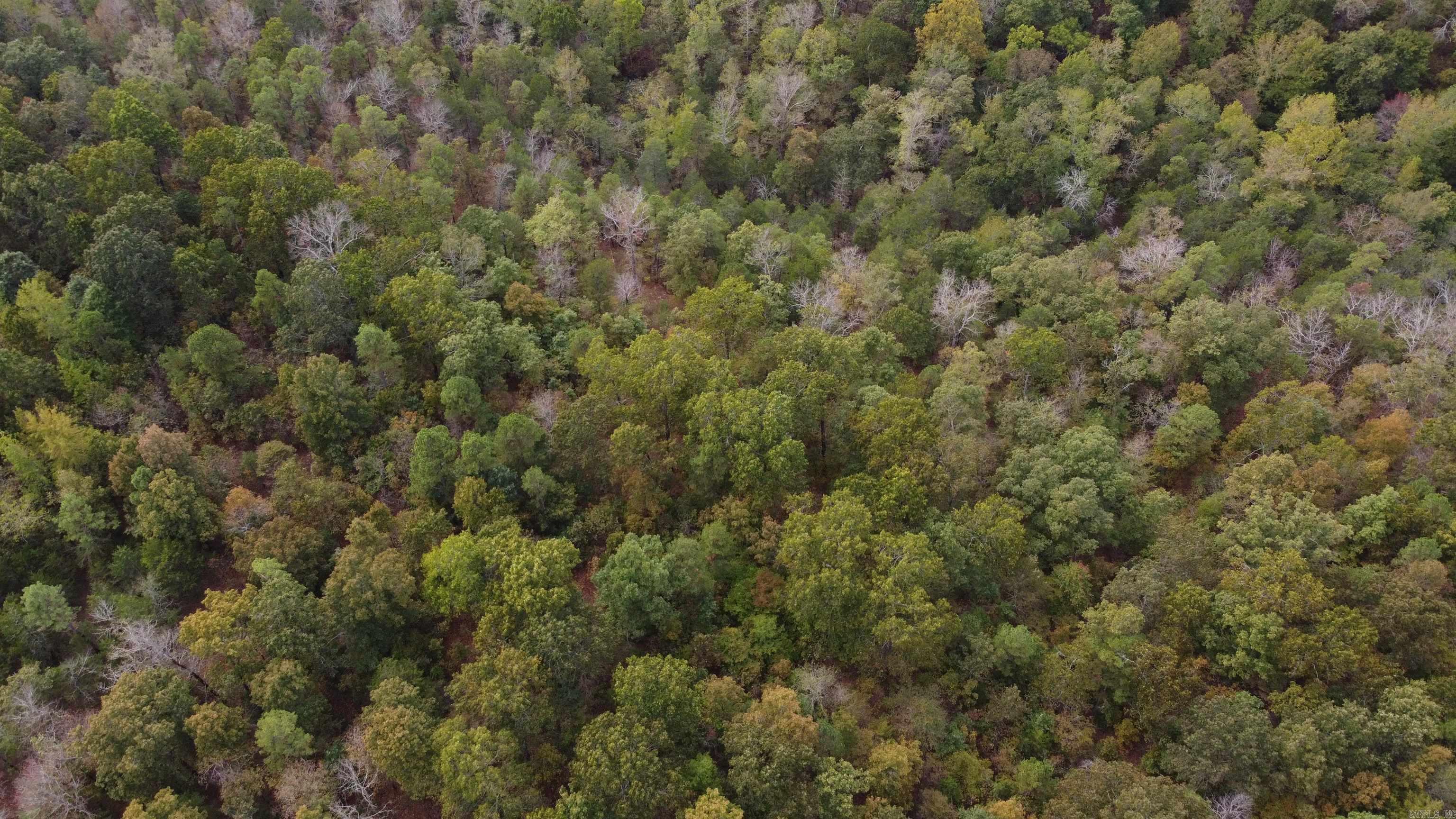 Photo 48 - Vacant Land for sale – 000  Old Dolph   Pineville, AR