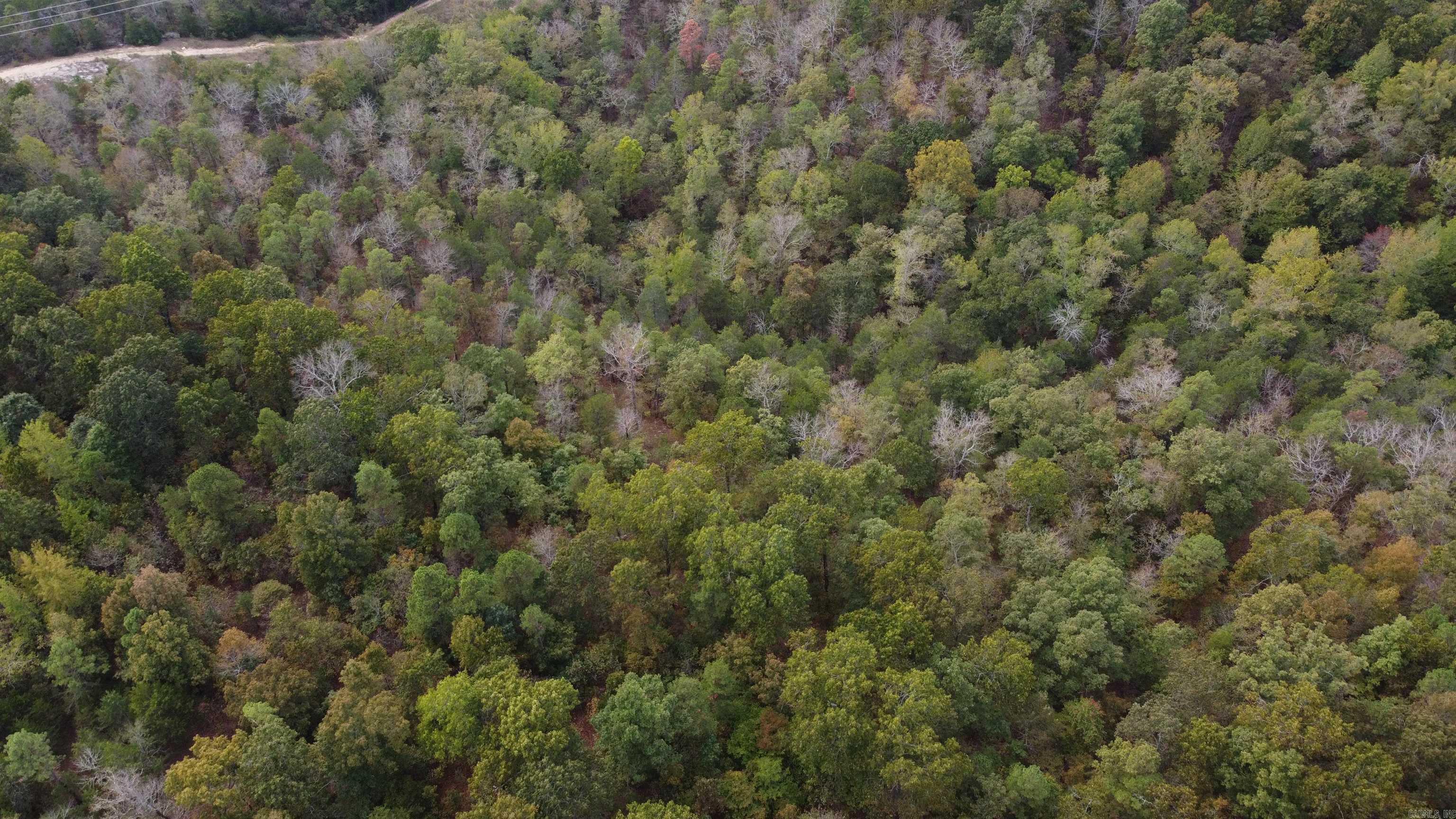 Photo 49 - Vacant Land for sale – 000  Old Dolph   Pineville, AR