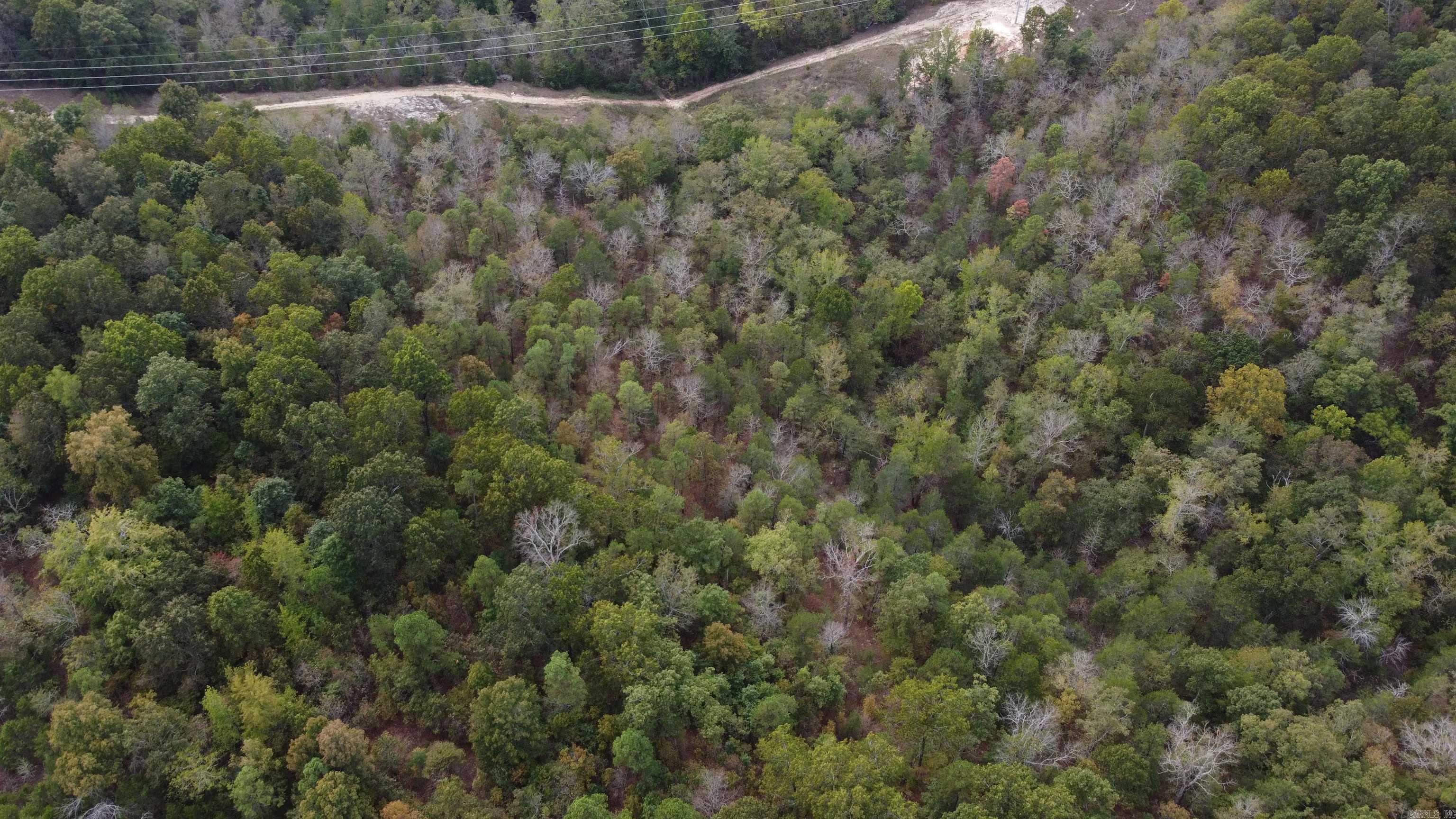 Photo 50 - Vacant Land for sale – 000  Old Dolph   Pineville, AR