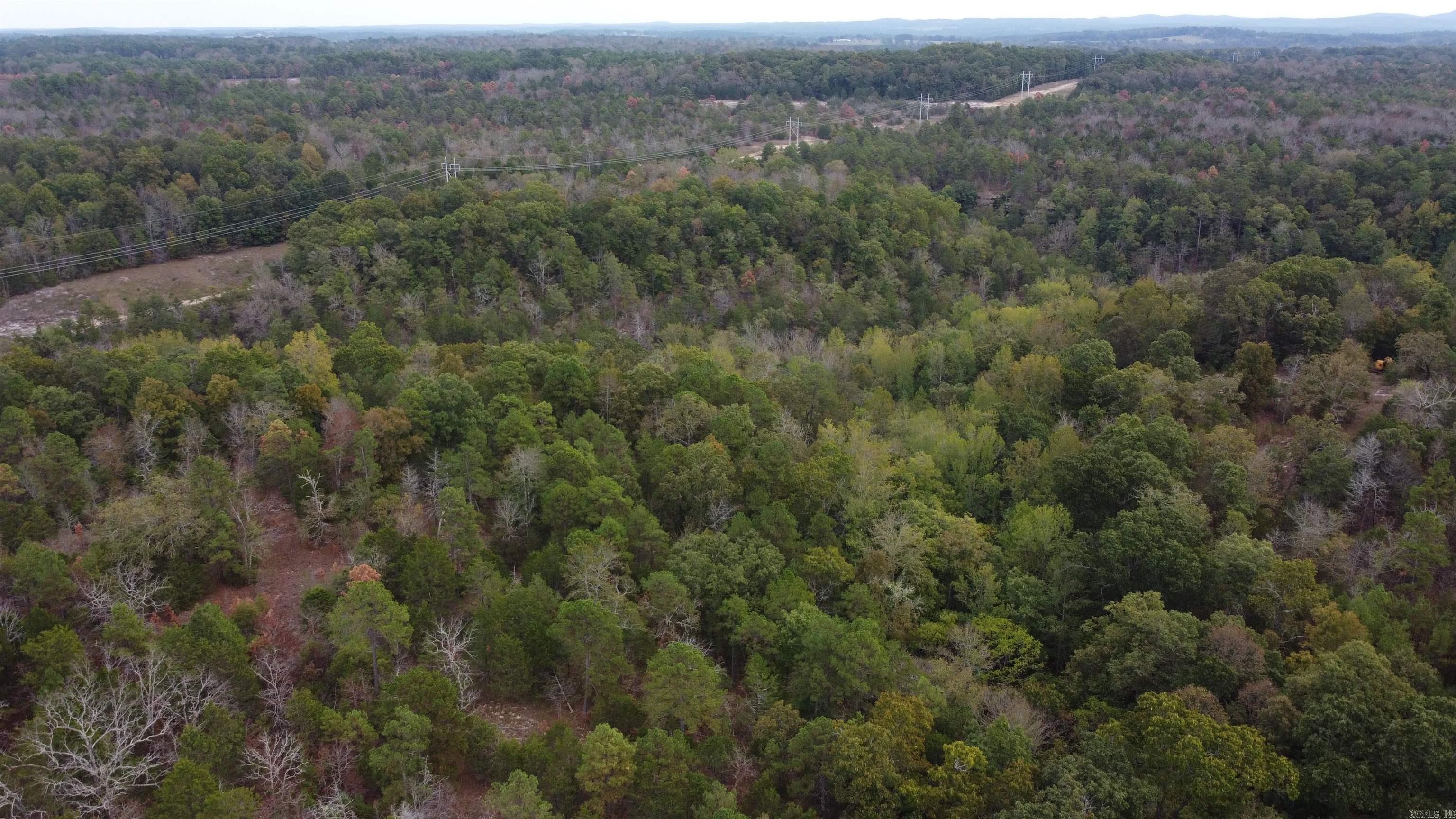 Photo 6 - Vacant Land for sale – 000  Old Dolph   Pineville, AR