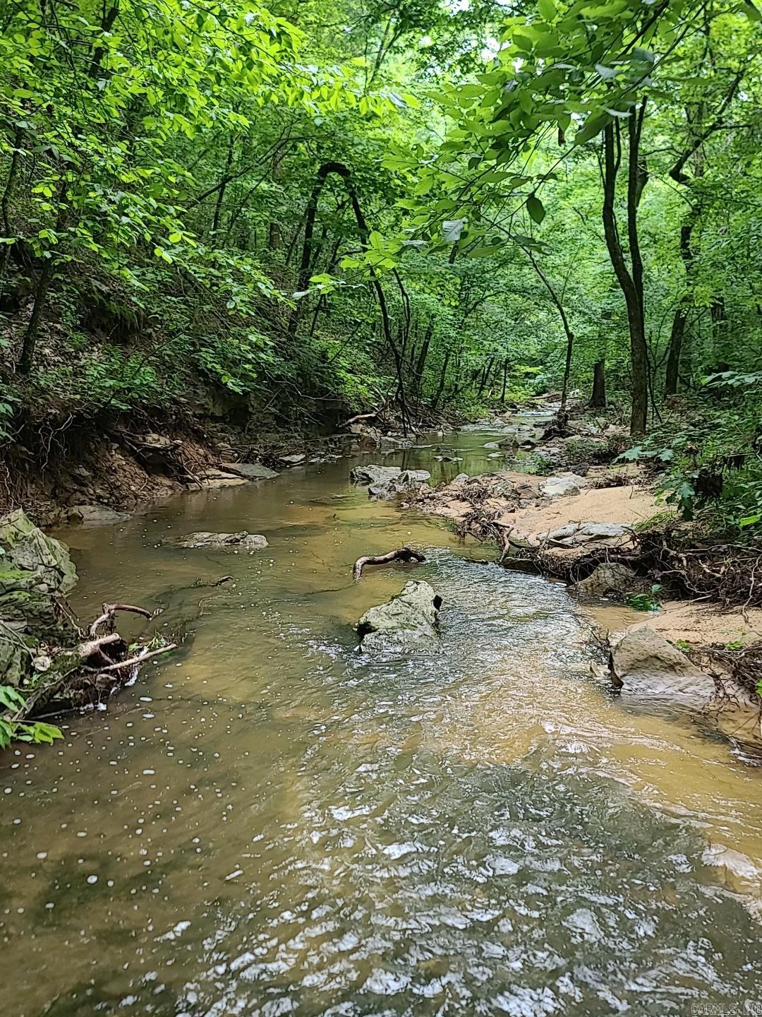 Photo 8 - Vacant Land for sale – 000  Old Dolph   Pineville, AR