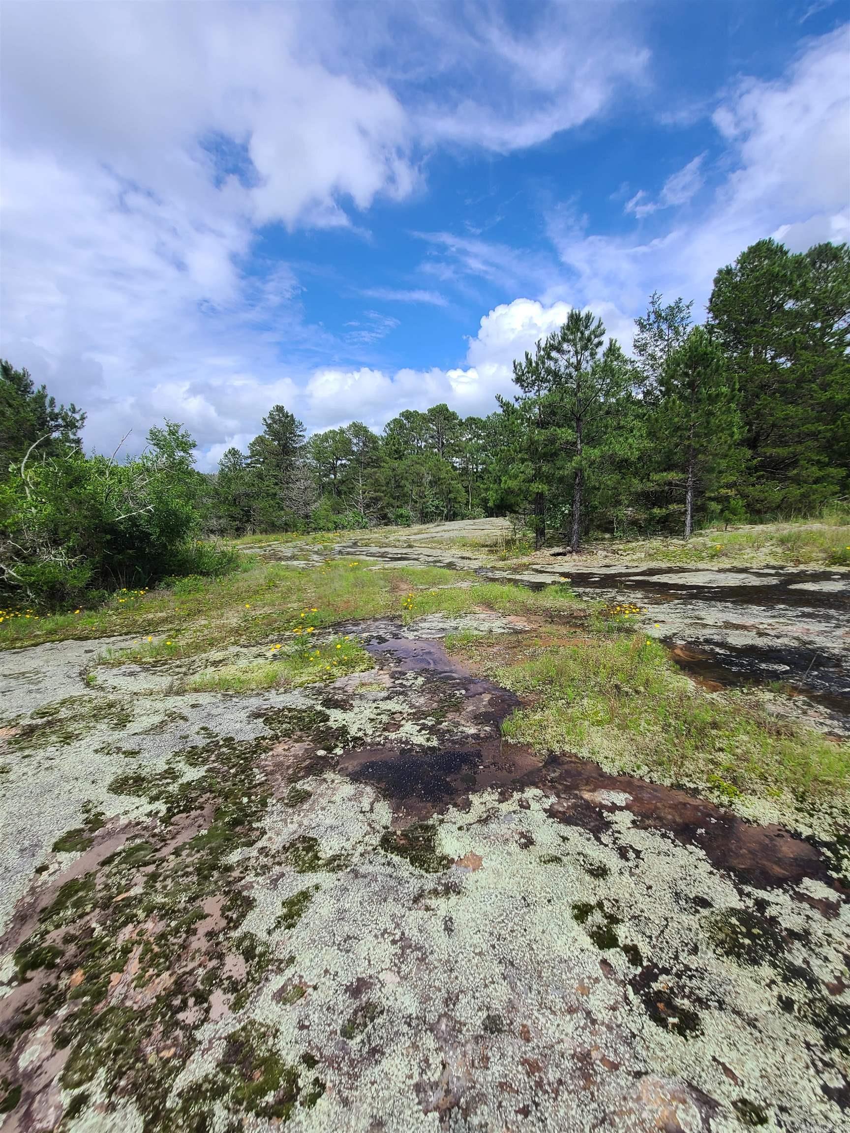 Photo 8 - Vacant Land for sale – 000  Old Dolph   Pineville, AR
