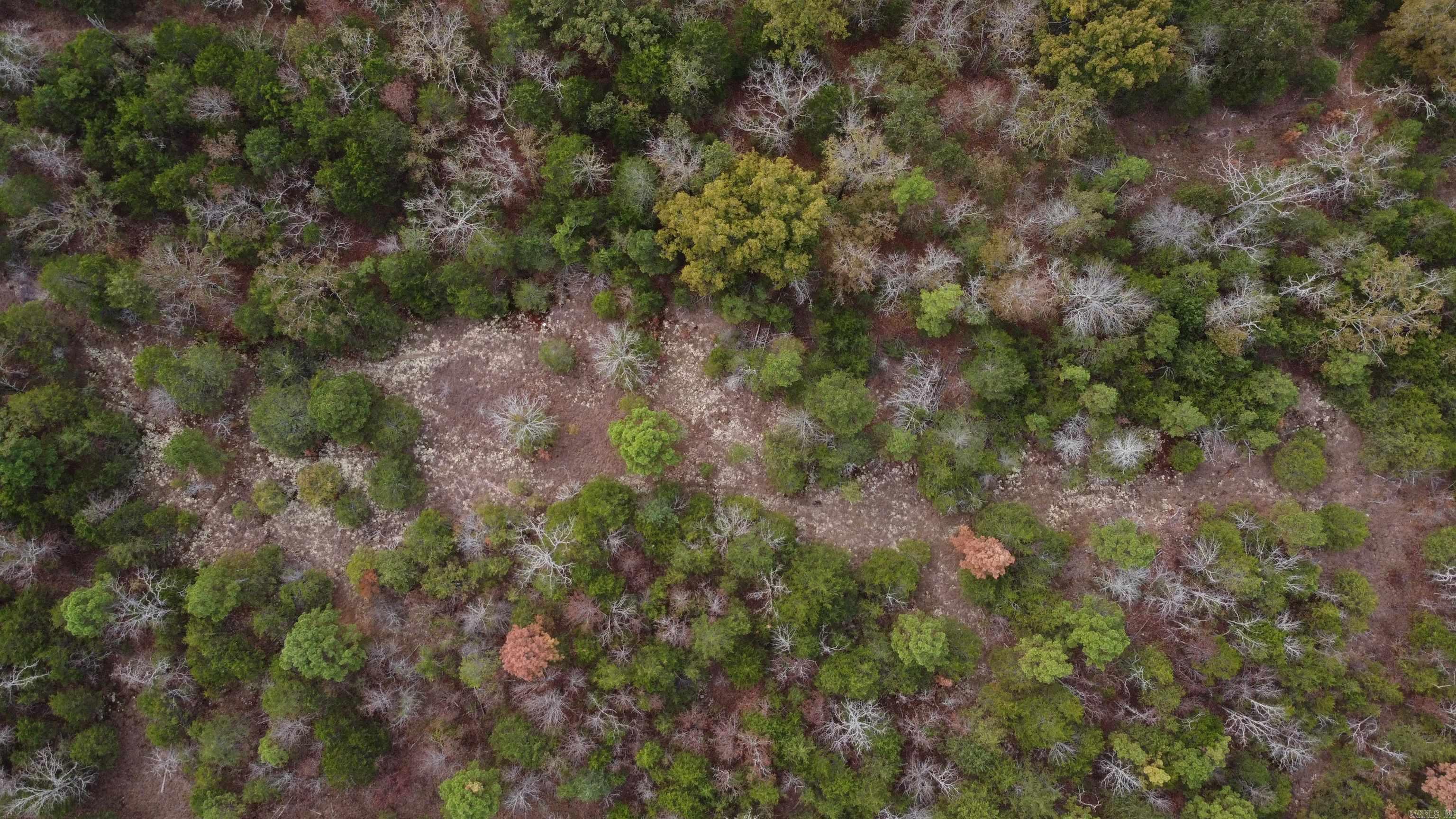 Photo 9 - Vacant Land for sale – 000  Old Dolph   Pineville, AR