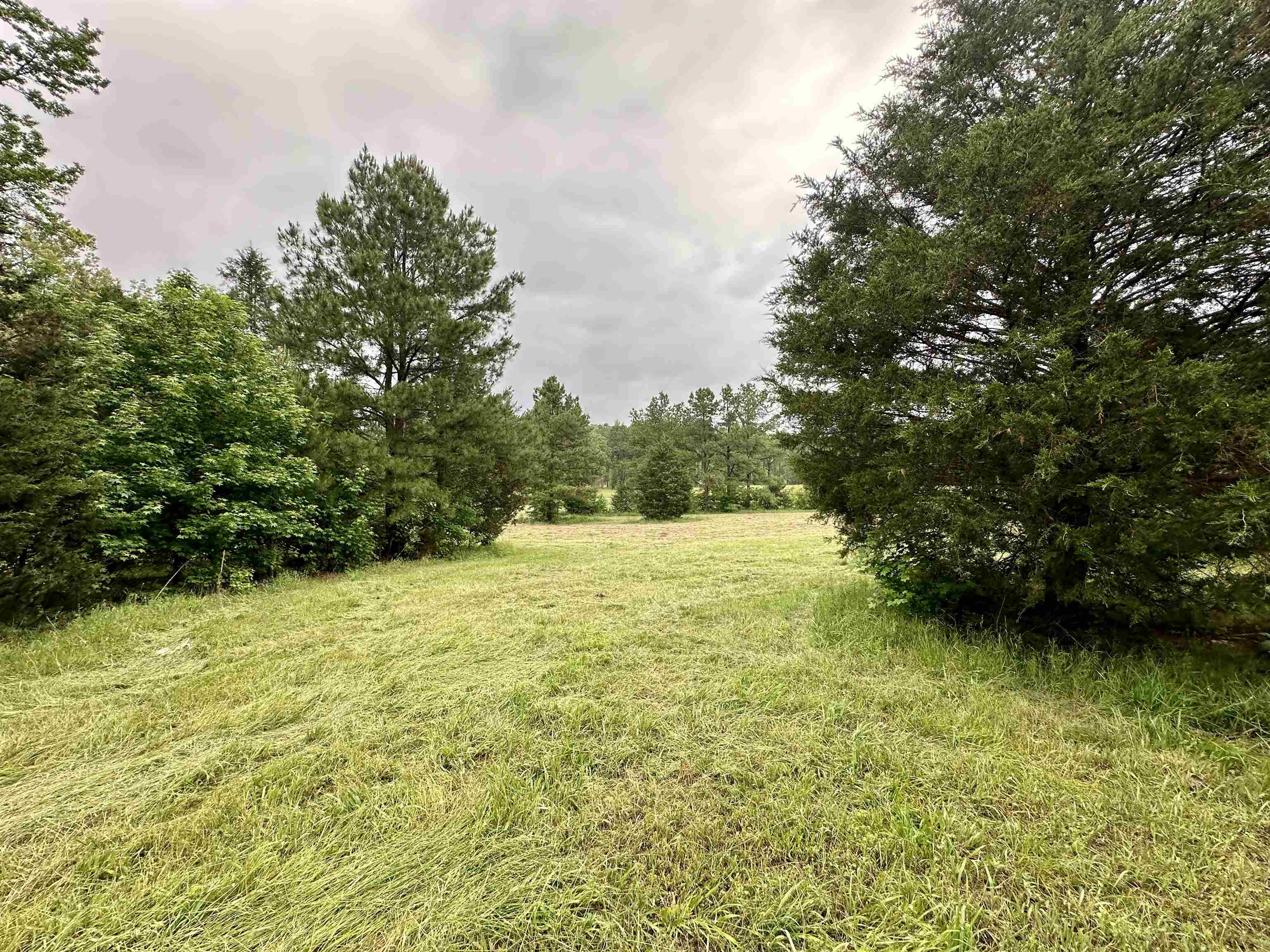 Photo 10 - Vacant Land for sale – Lot 7 & 8  Apple Tree Lane   Melbourne, AR