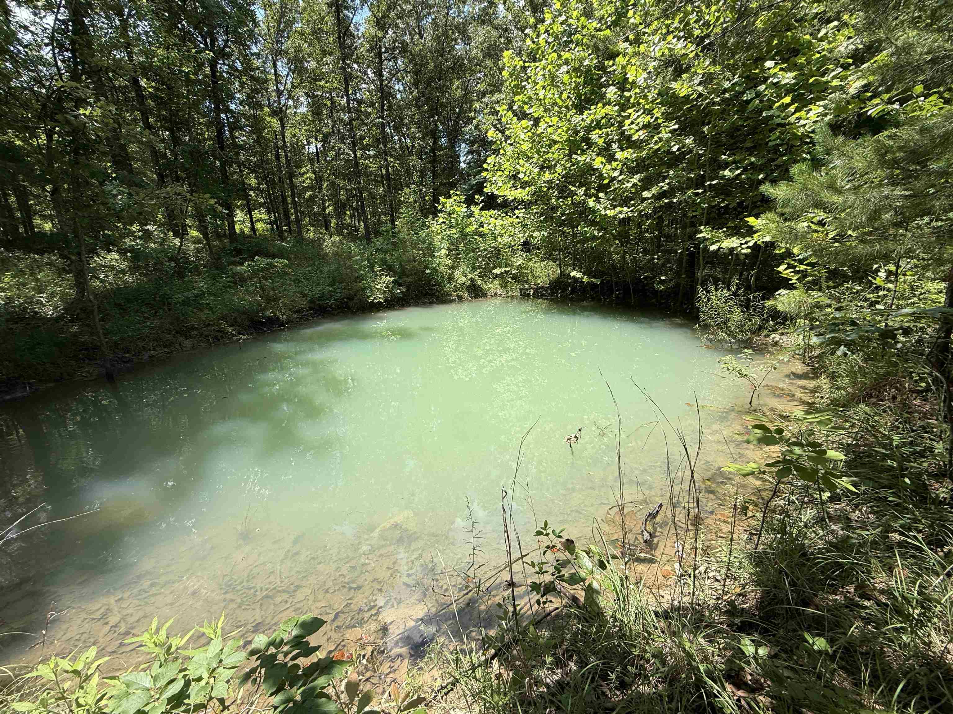 Photo 2 - Residential for sale – 2061A  Chapel Hill Road   Brockwell, AR