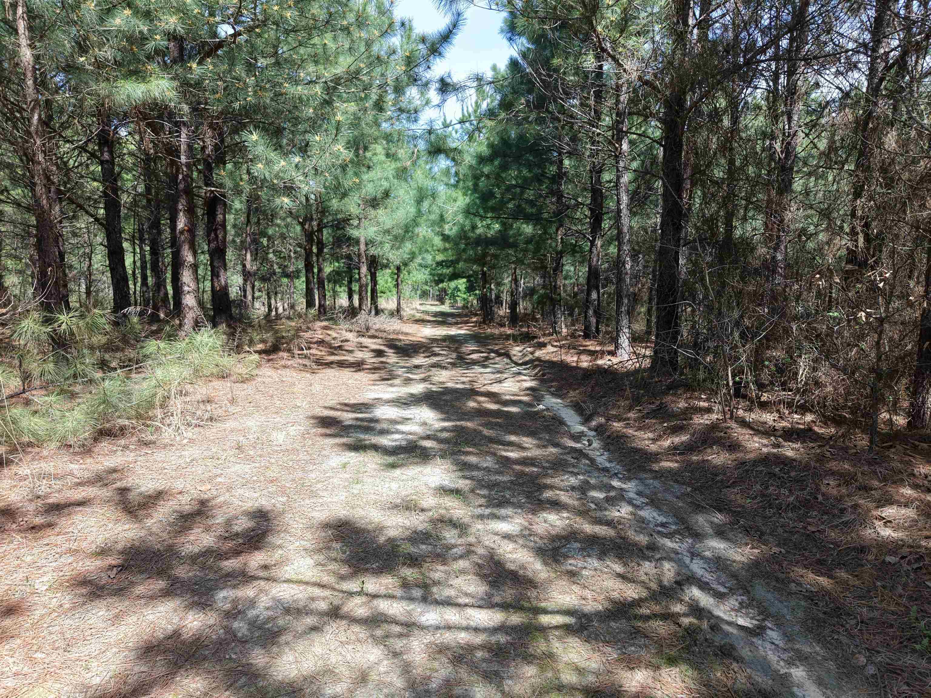 Photo 15 - Residential for sale – 2061A  Chapel Hill Road   Brockwell, AR