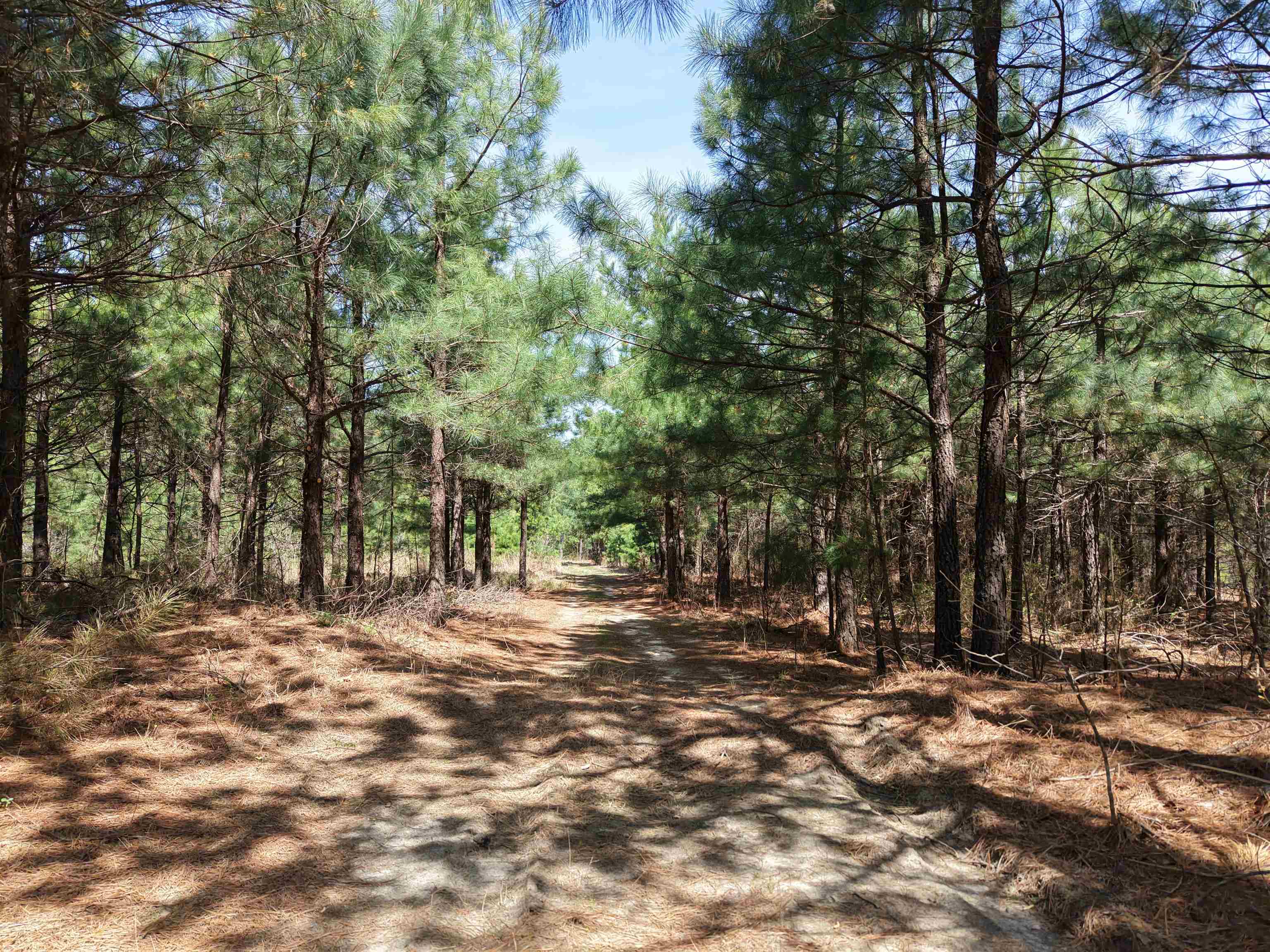 Photo 16 - Residential for sale – 2061A  Chapel Hill Road   Brockwell, AR