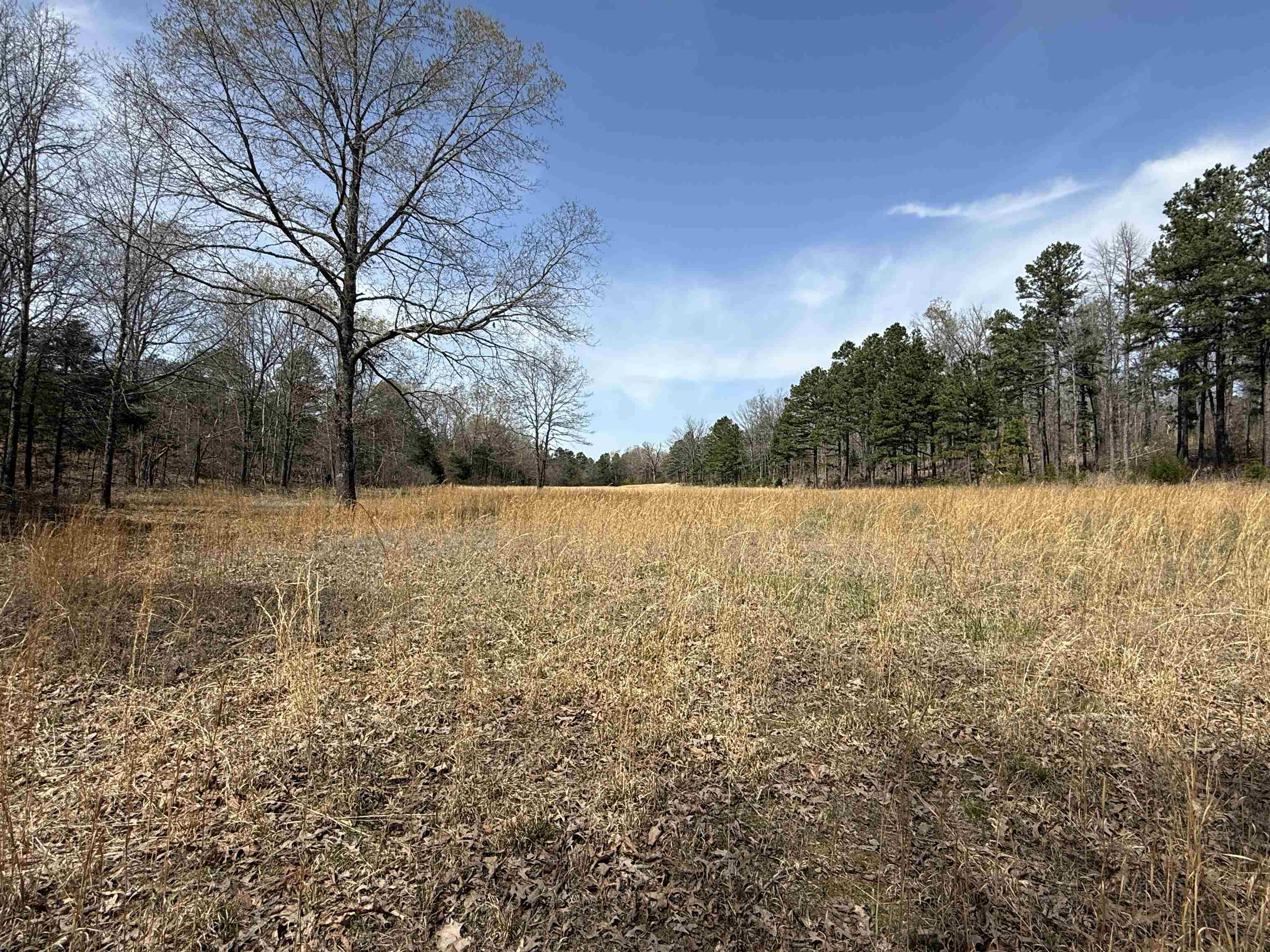 Photo 17 - Residential for sale – 2061A  Chapel Hill Road   Brockwell, AR