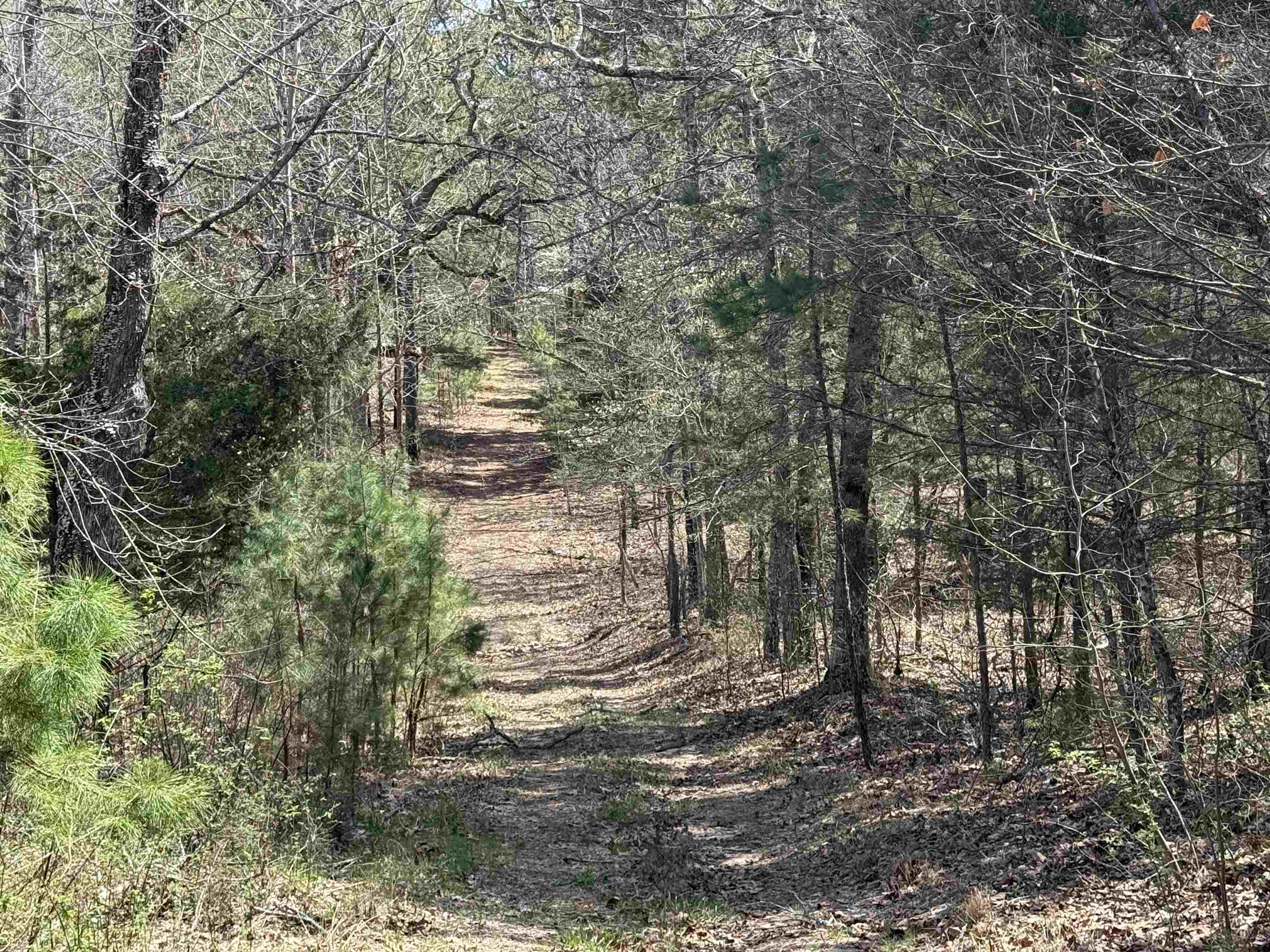 Photo 18 - Residential for sale – 2061A  Chapel Hill Road   Brockwell, AR